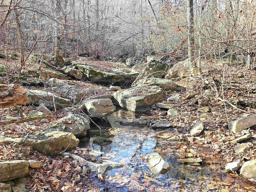 Hunting Land. Witt Springs Arkansas joins the national forest and is land locked no minerals convey seller does not own them. BEAR,Turkey Elk, Great hunting land. Do not go on the land without permission and take a real estate agent with you.