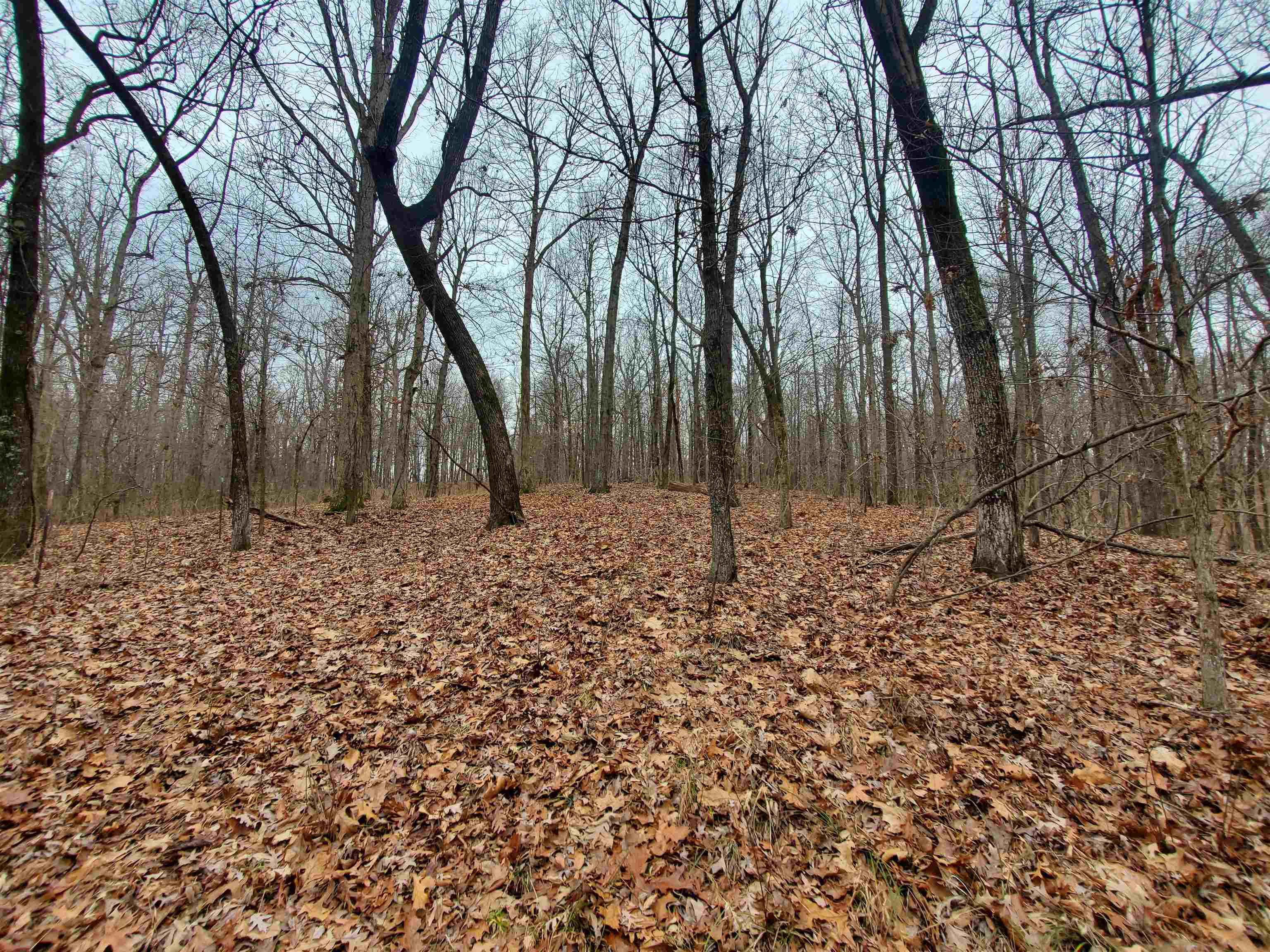 Not in Subdivision - Land