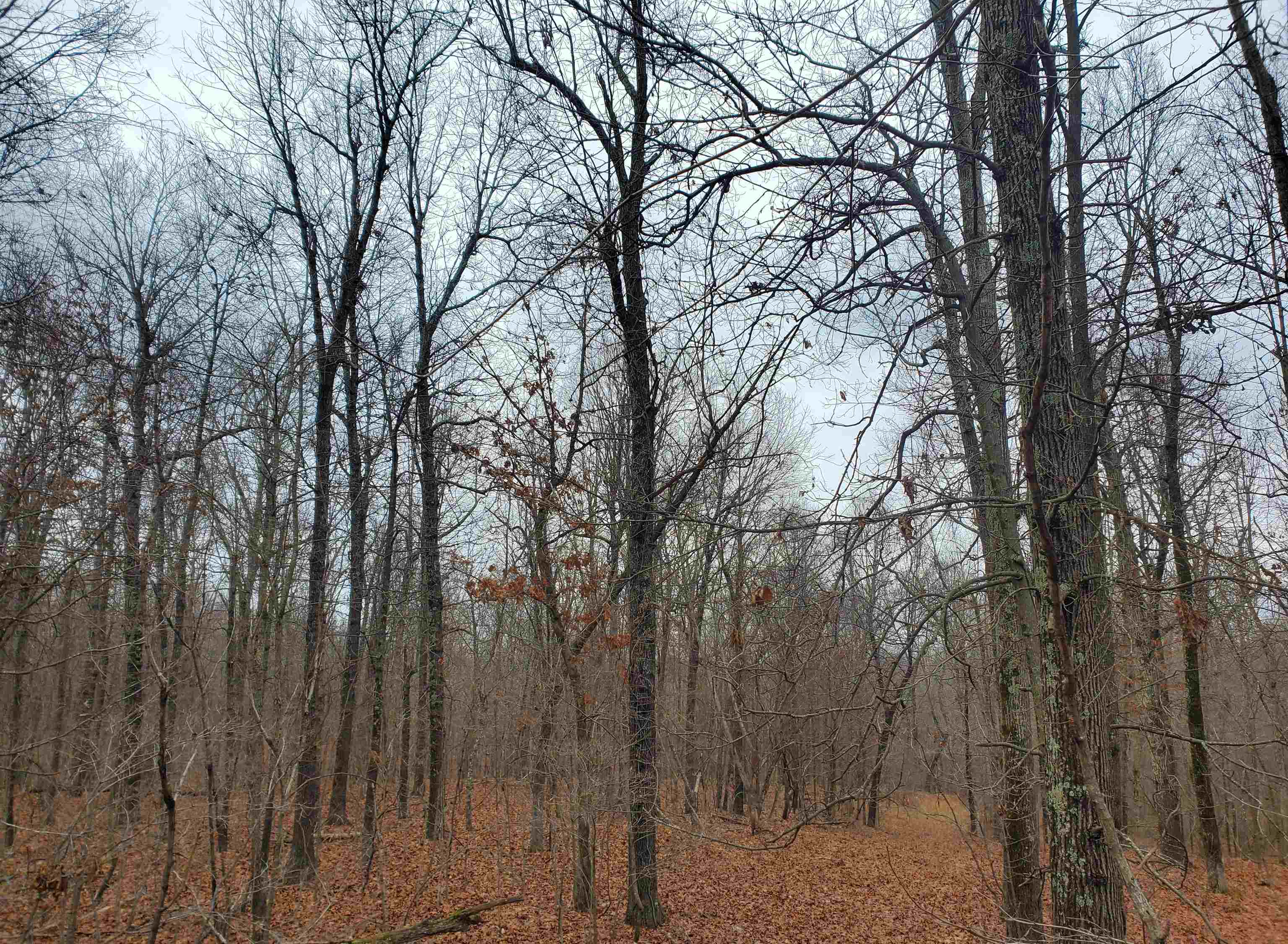 Not in Subdivision - Land