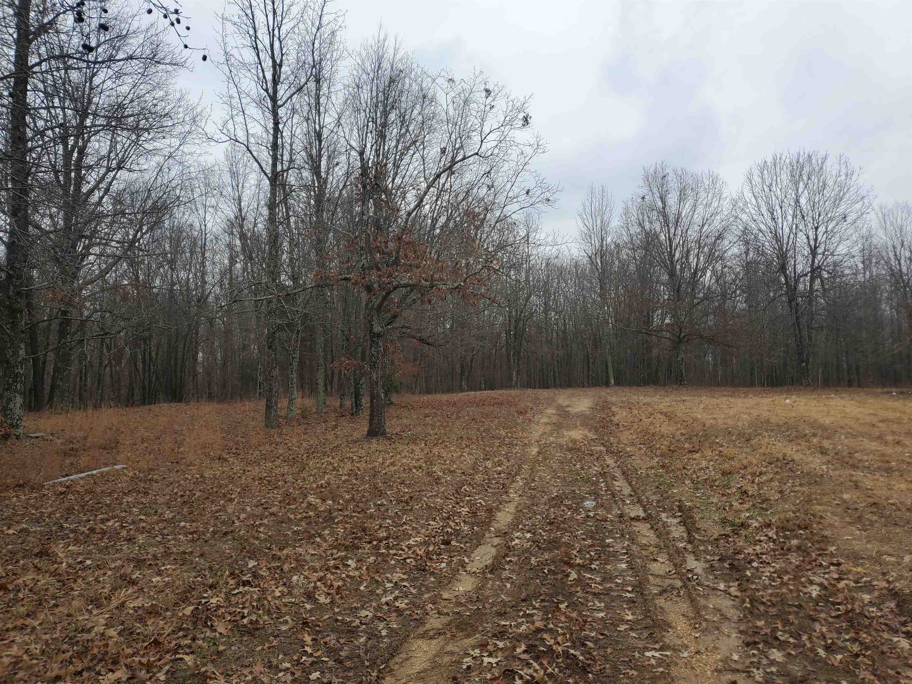Not in Subdivision - Land
