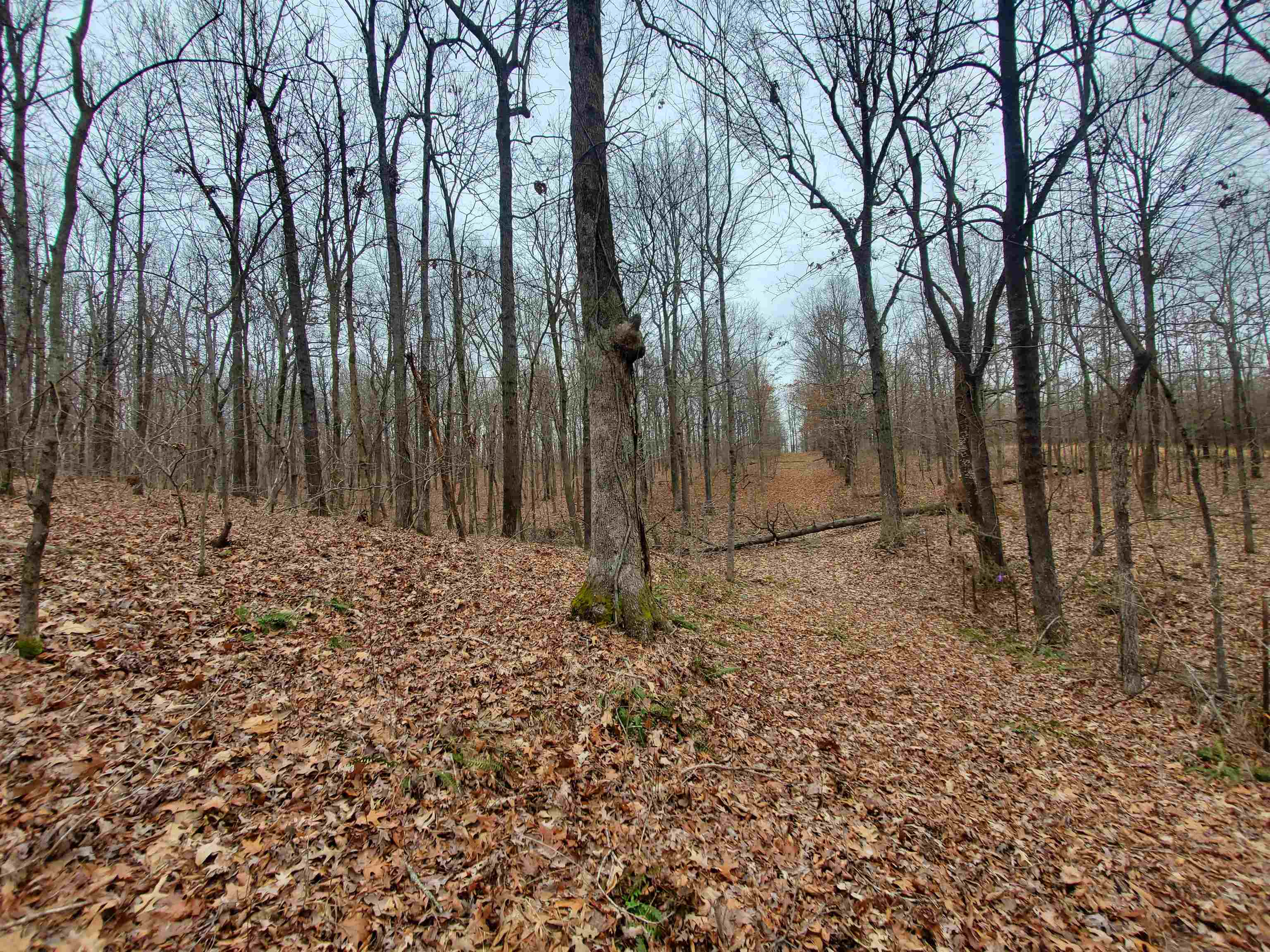 Not in Subdivision - Land