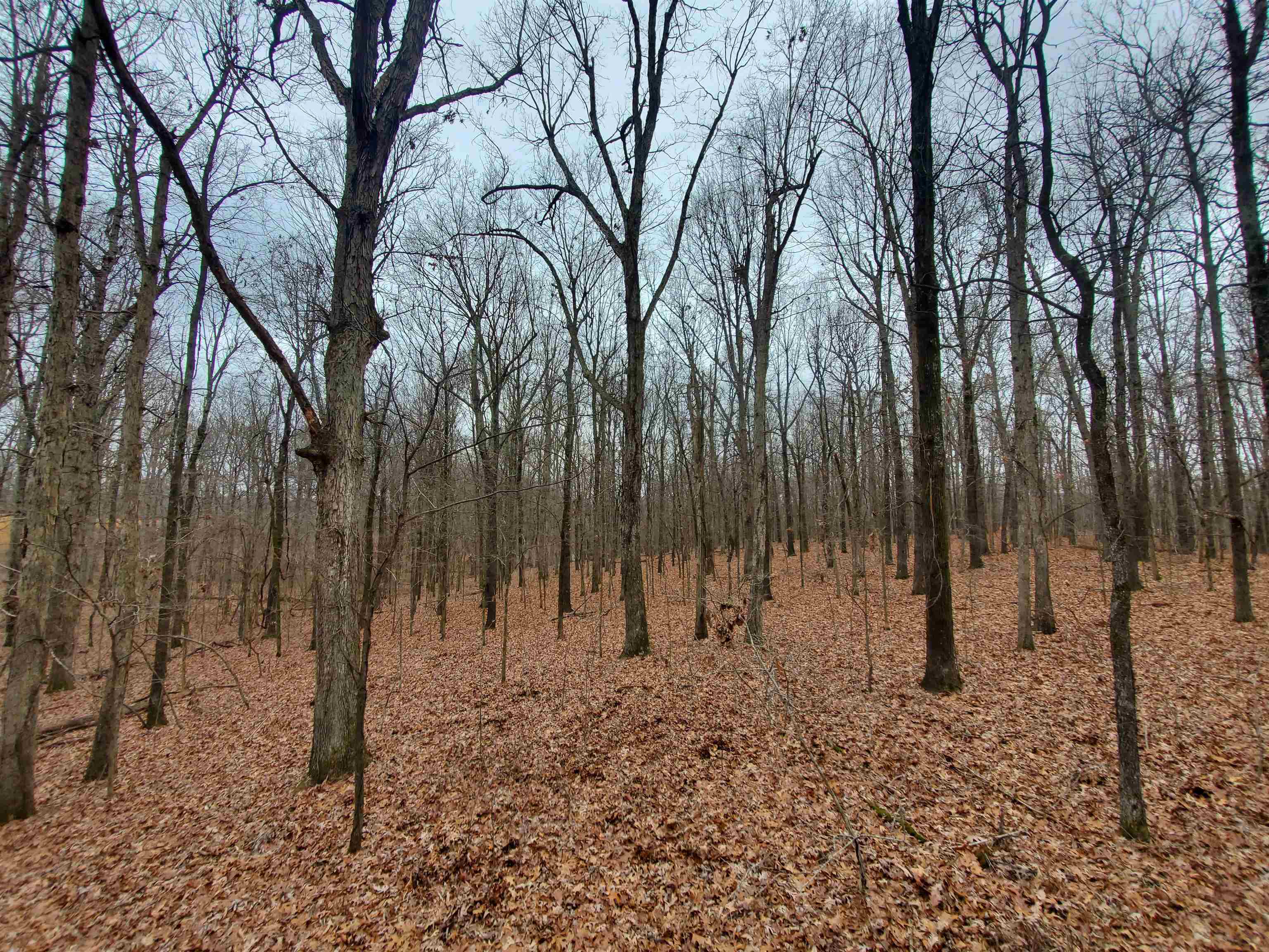 Not in Subdivision - Land