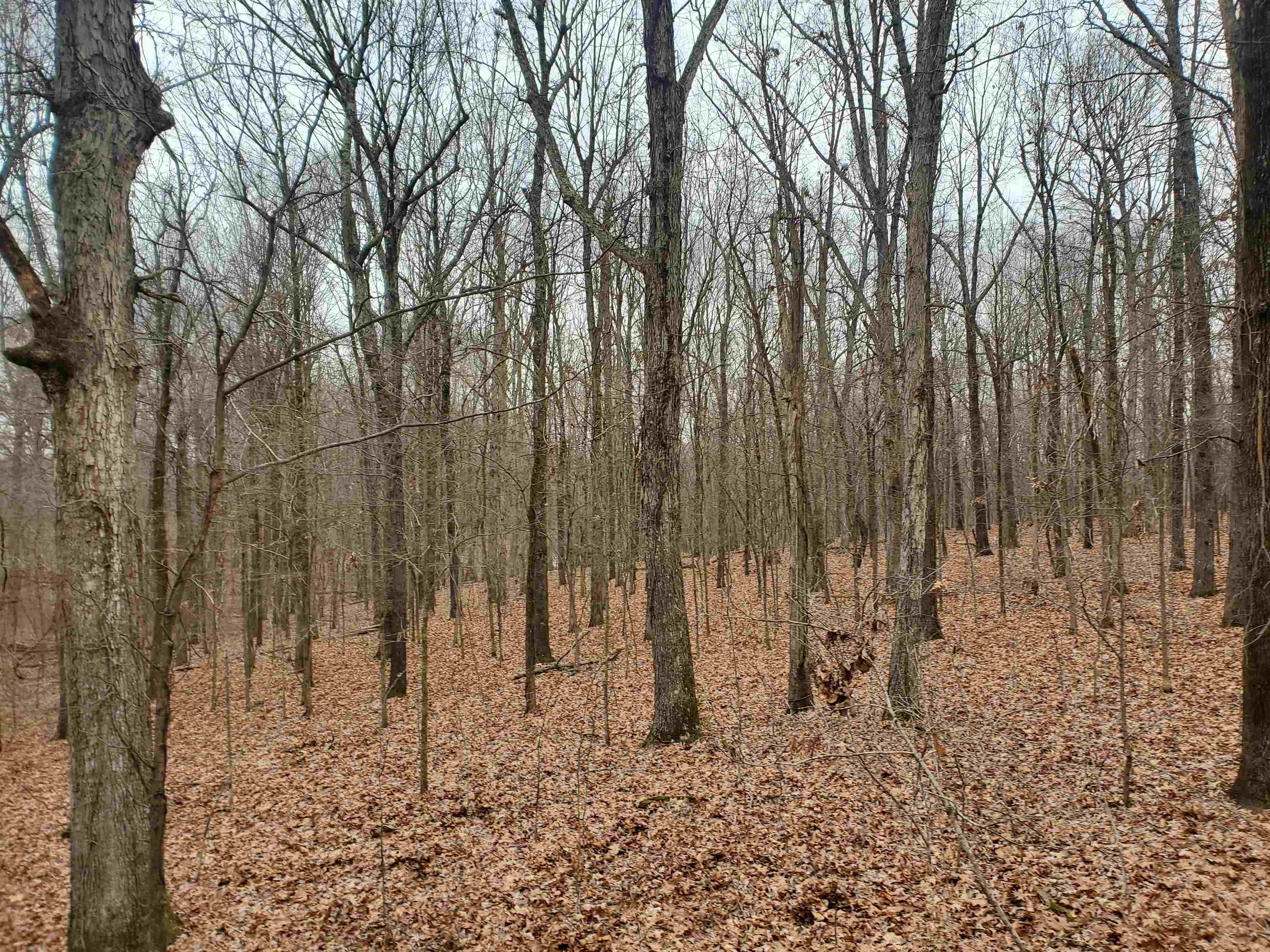 Not in Subdivision - Land