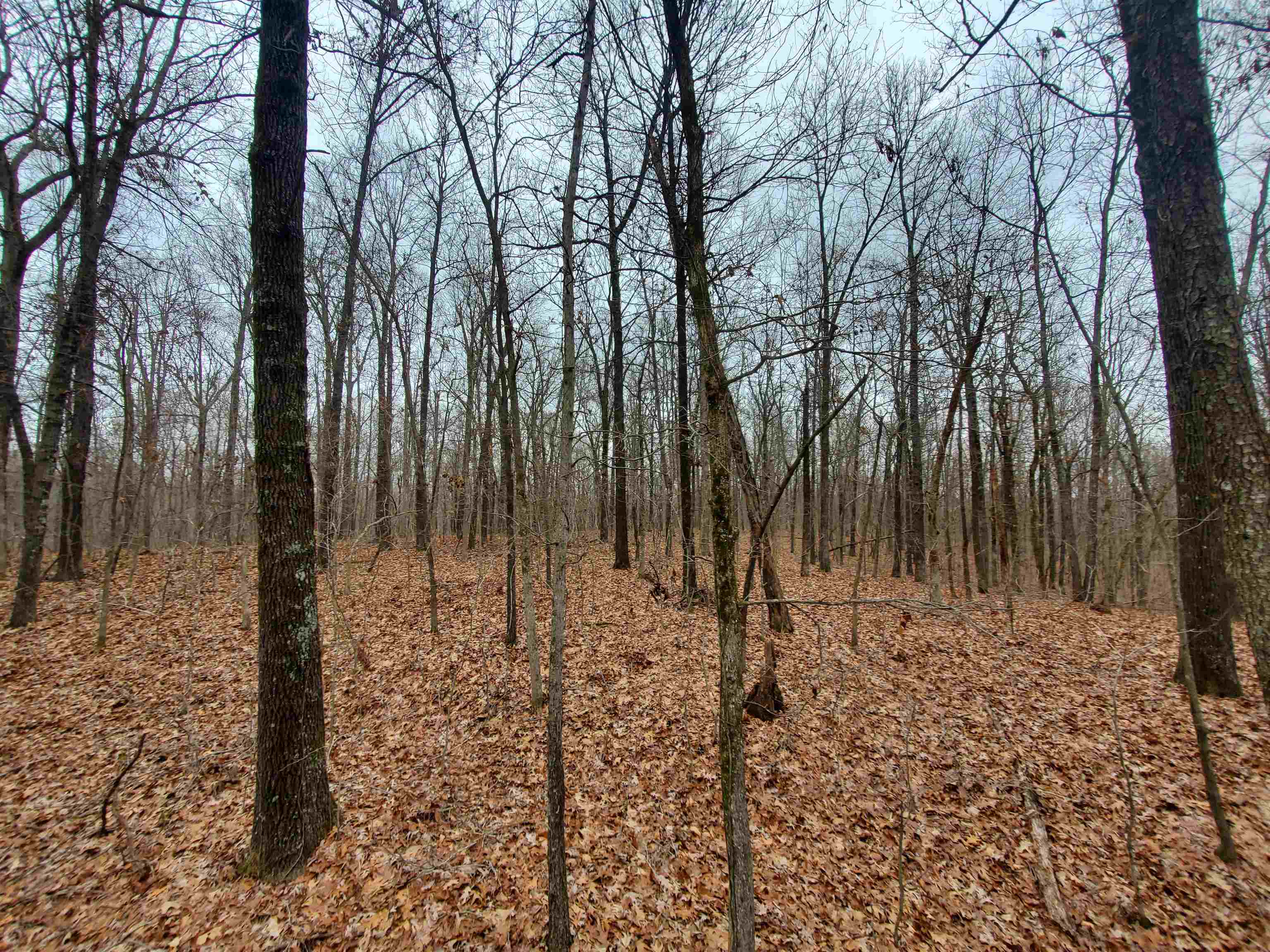 Not in Subdivision - Land