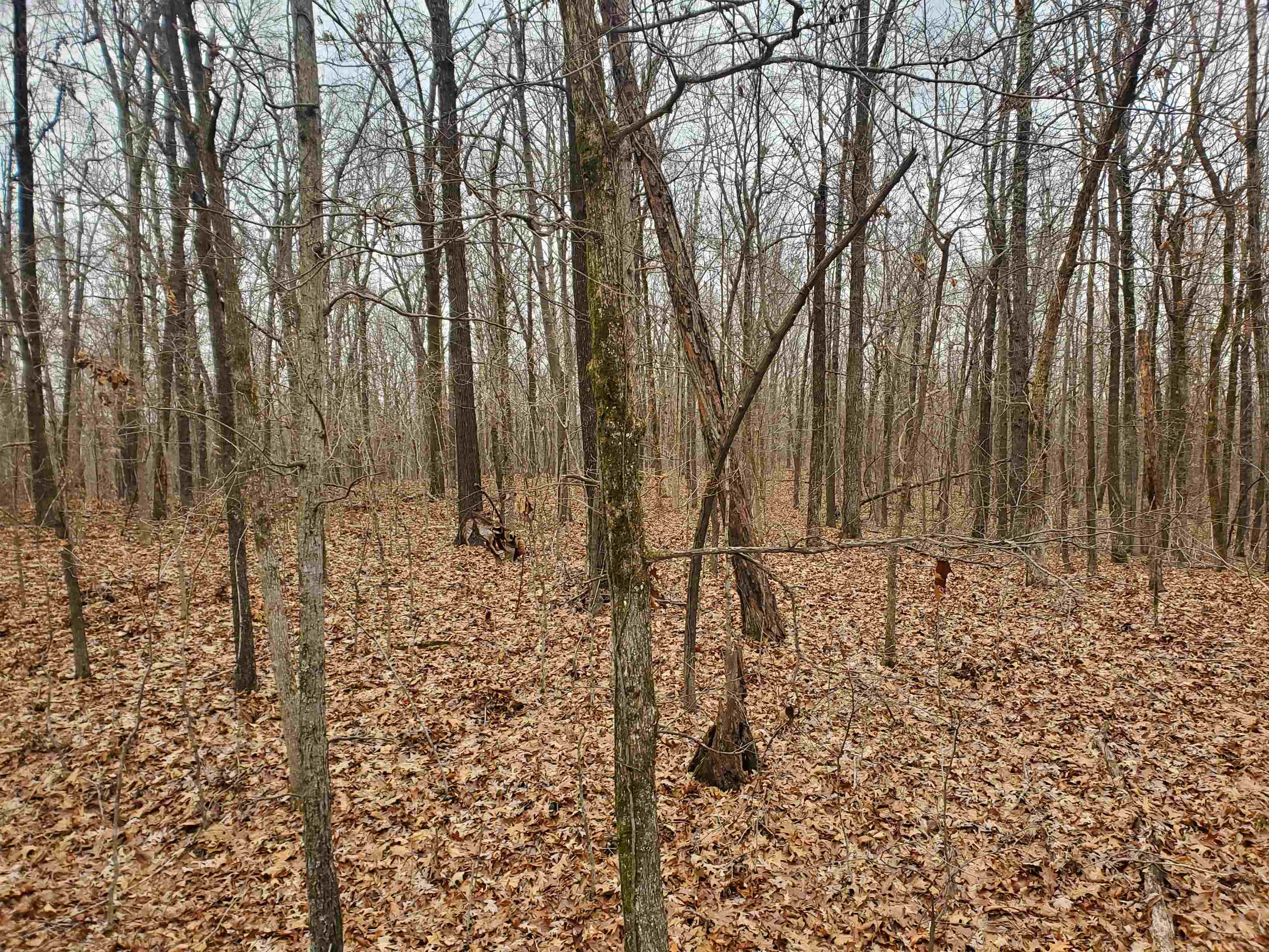 Not in Subdivision - Land