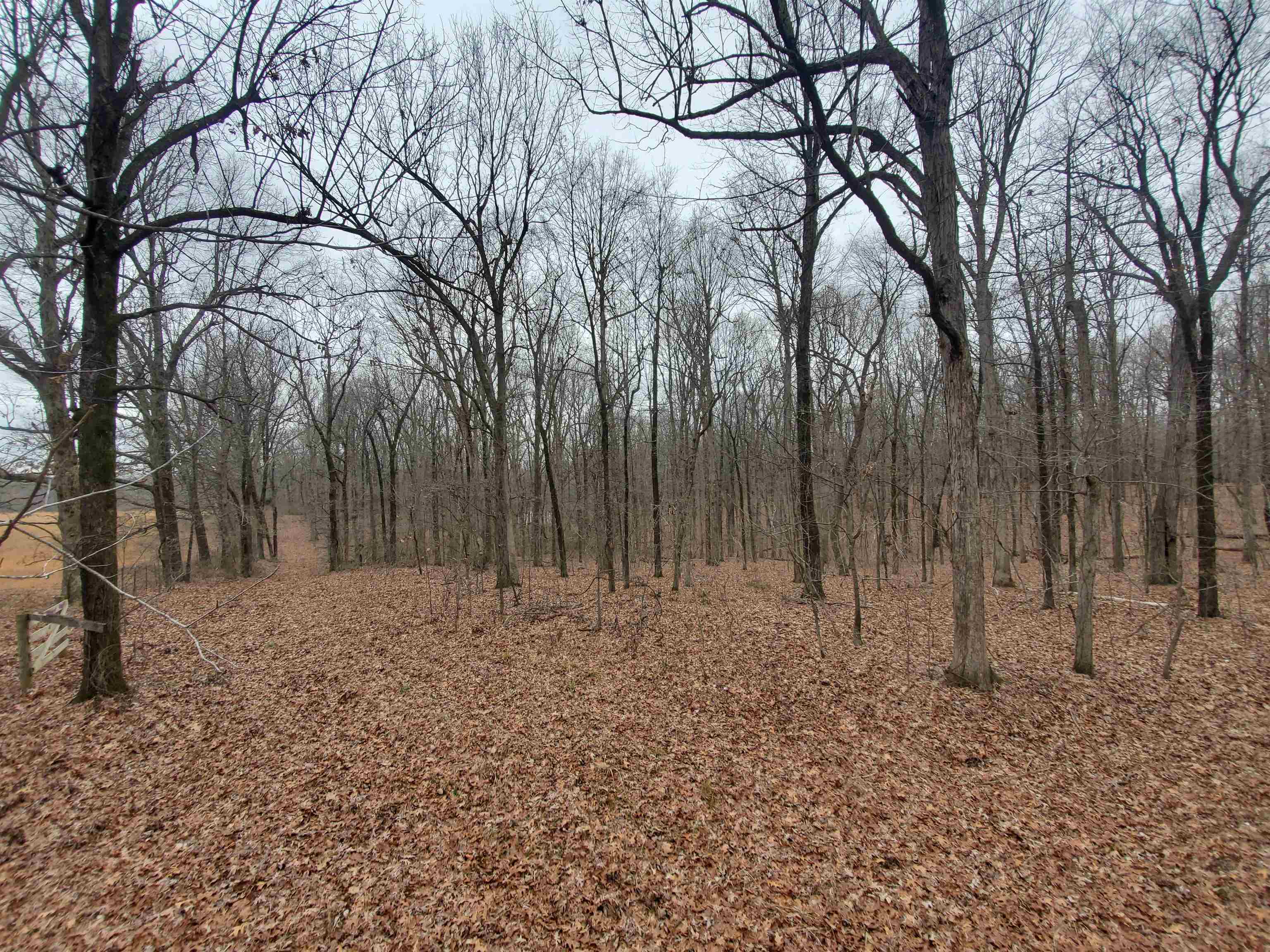 Not in Subdivision - Land