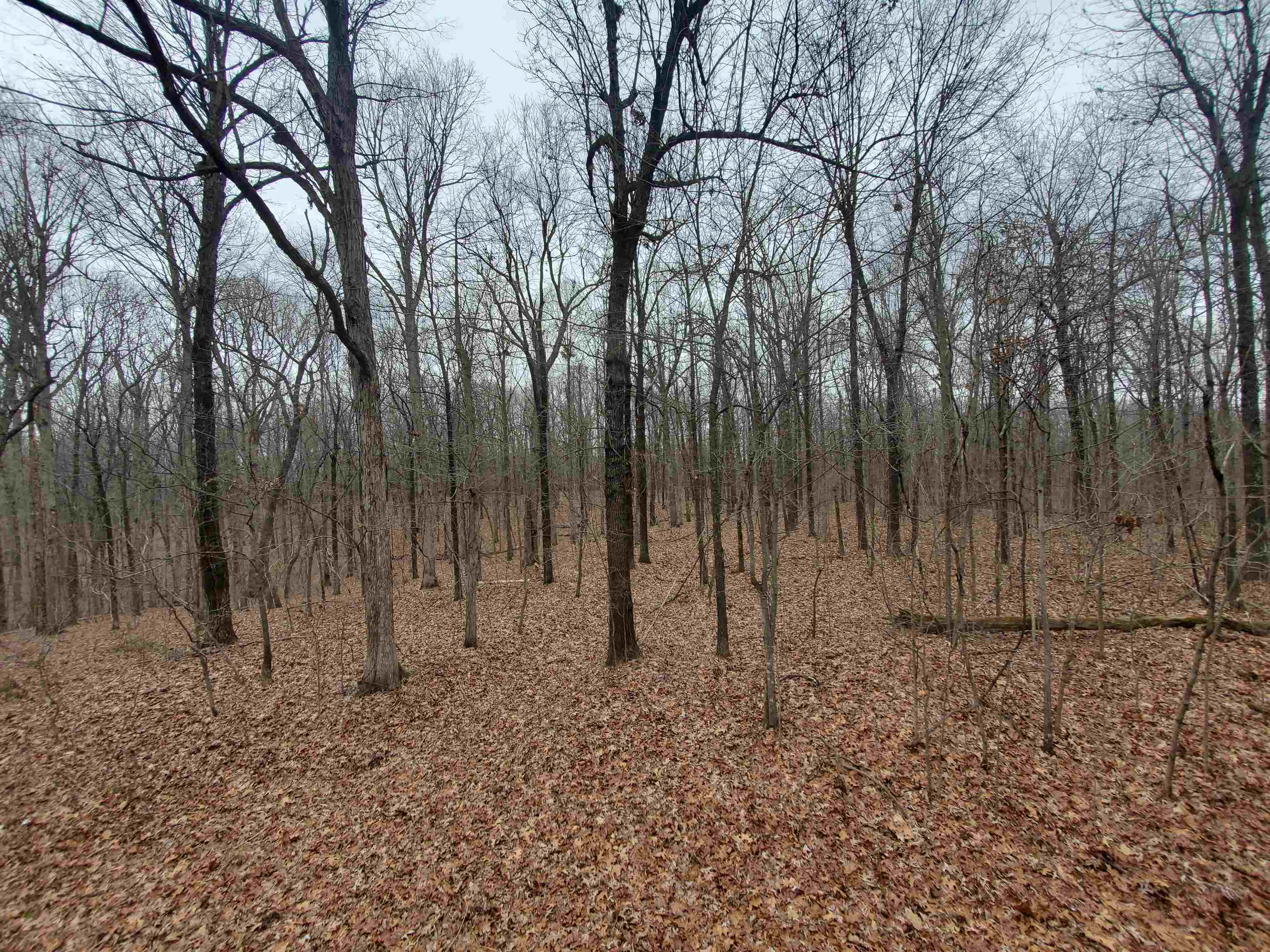 Not in Subdivision - Land