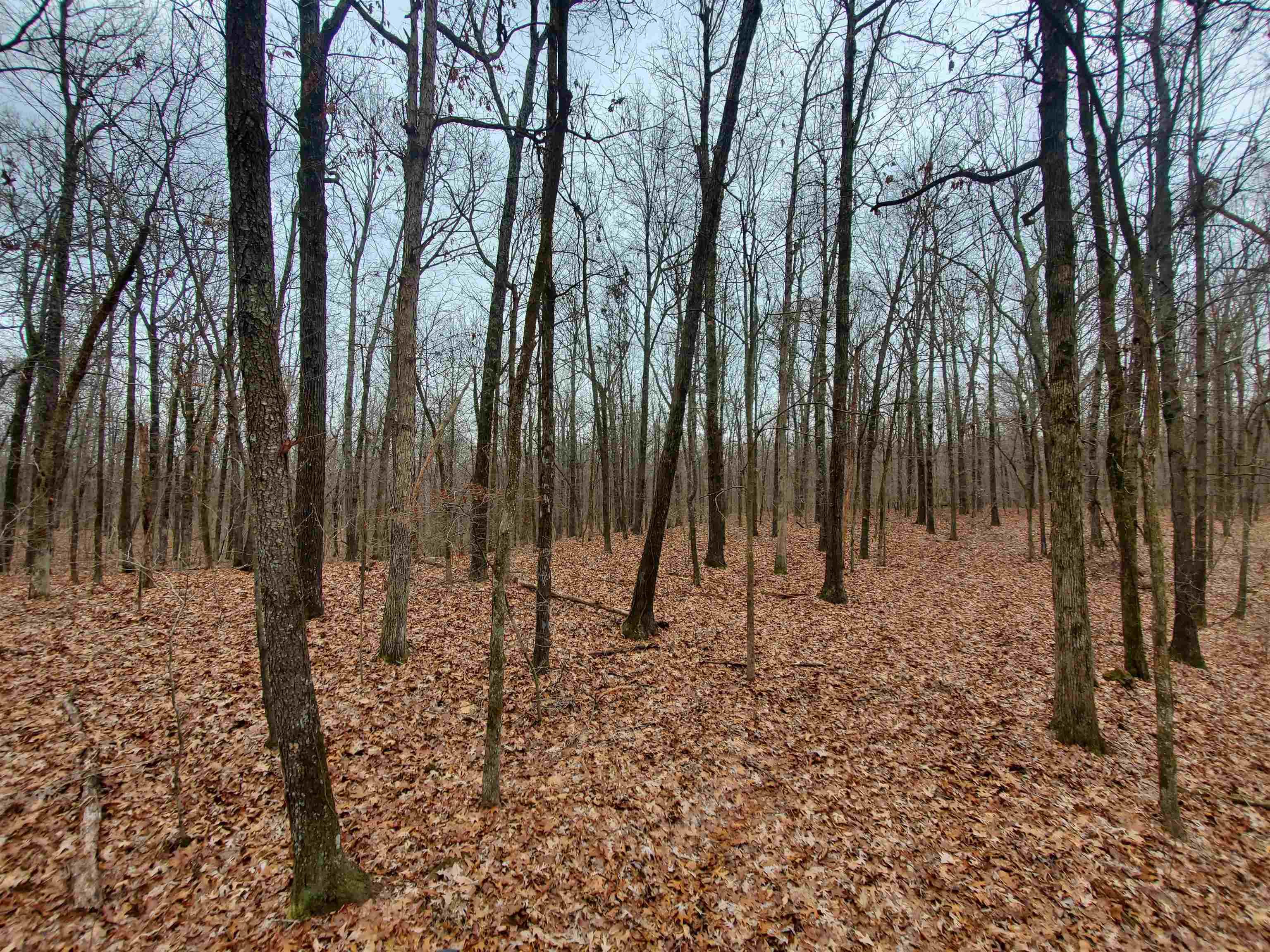 Not in Subdivision - Land