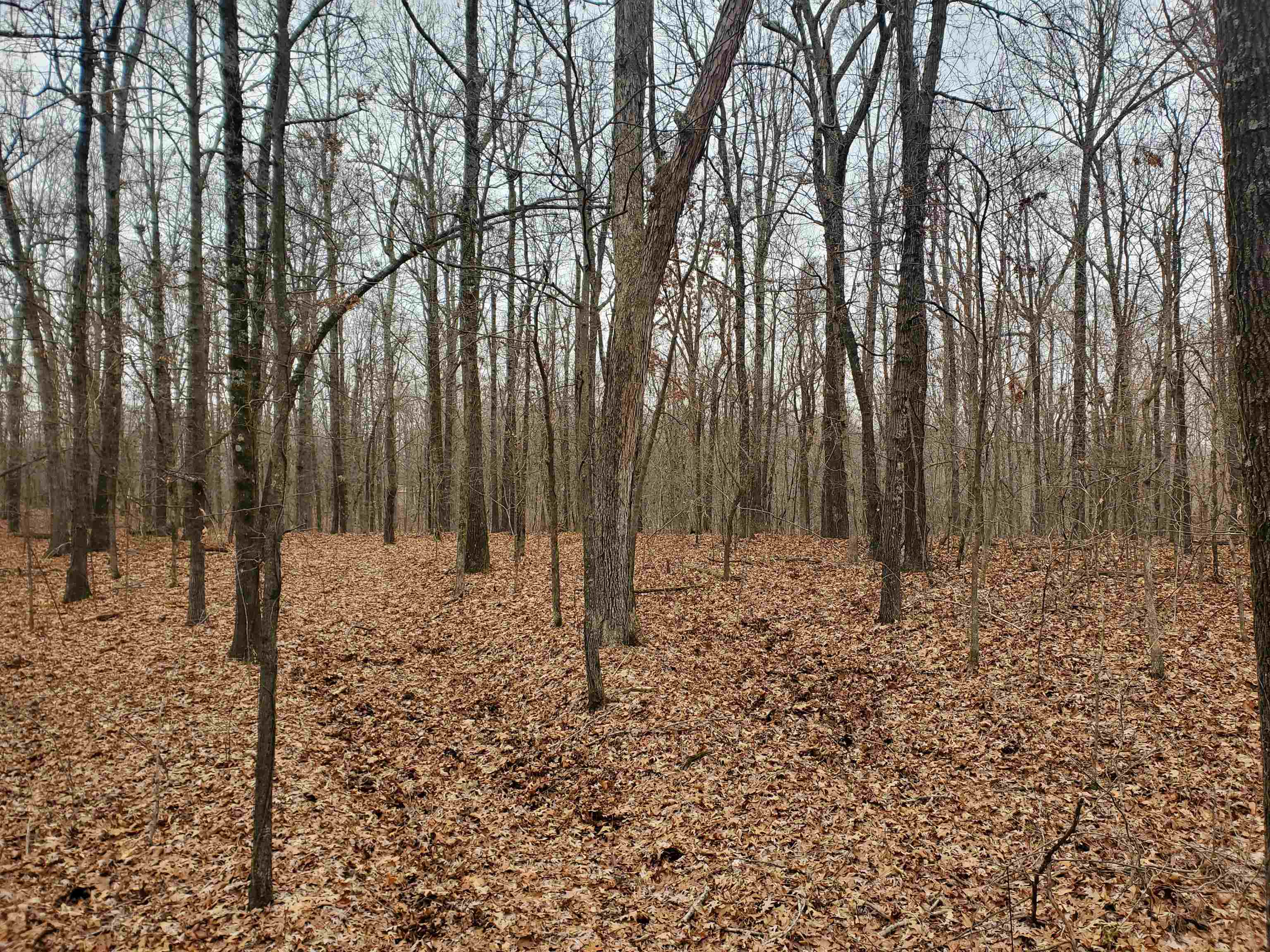 Not in Subdivision - Land