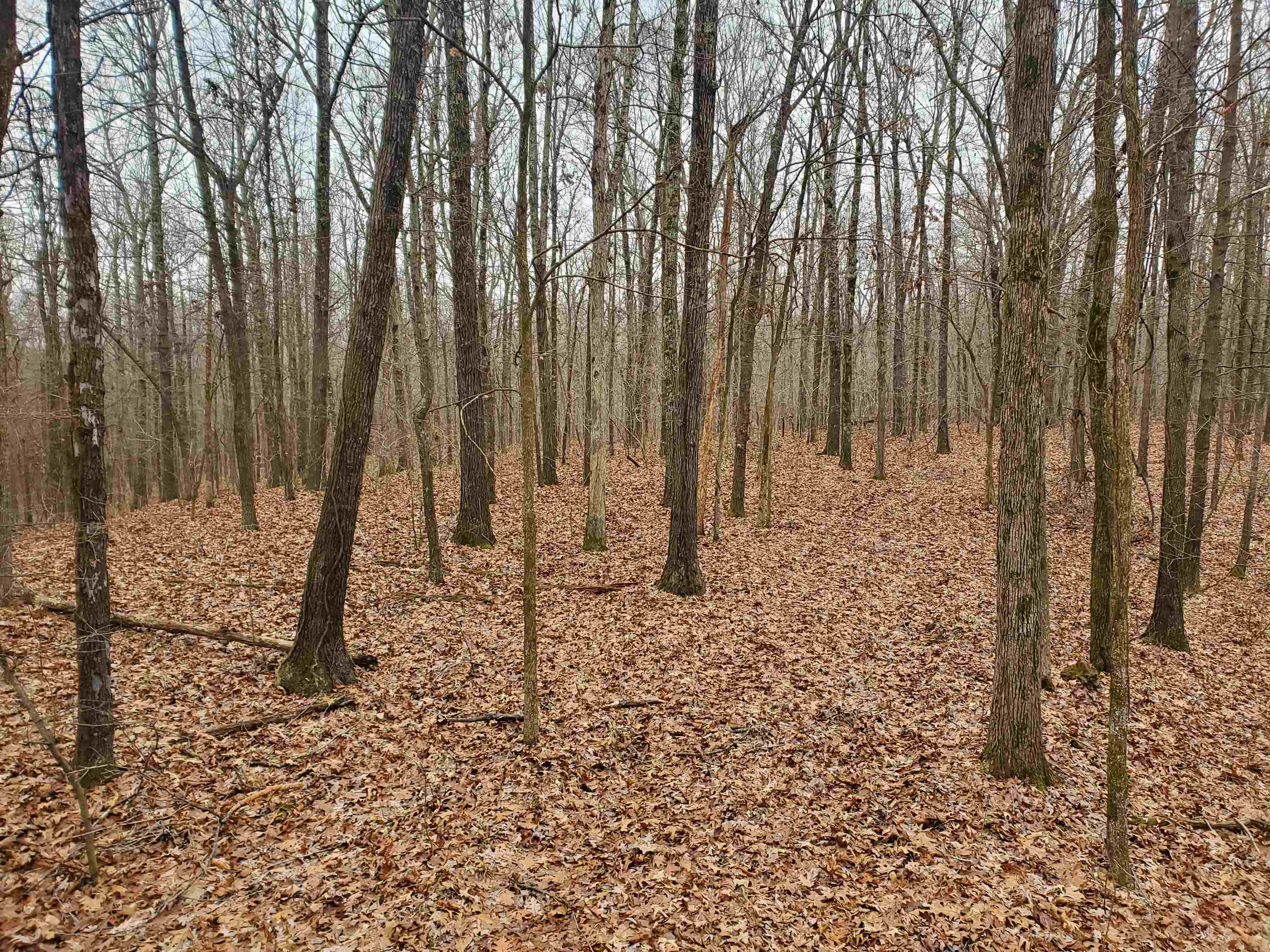 Not in Subdivision - Land