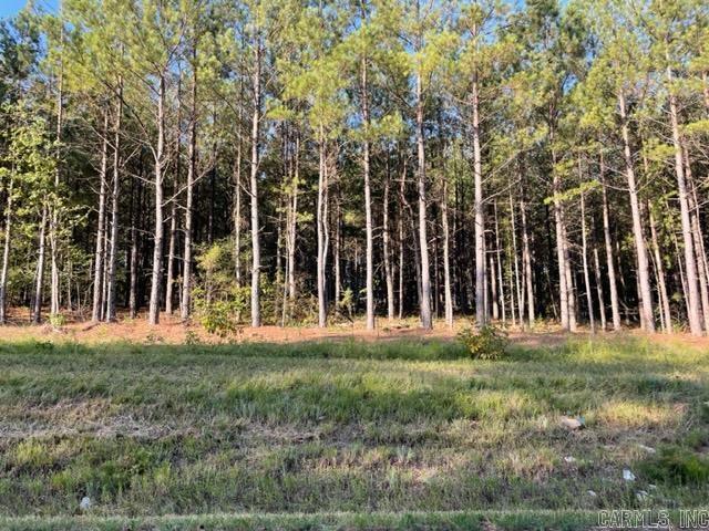 Beautiful building lot in Conway Public School system. Mostly cleared.