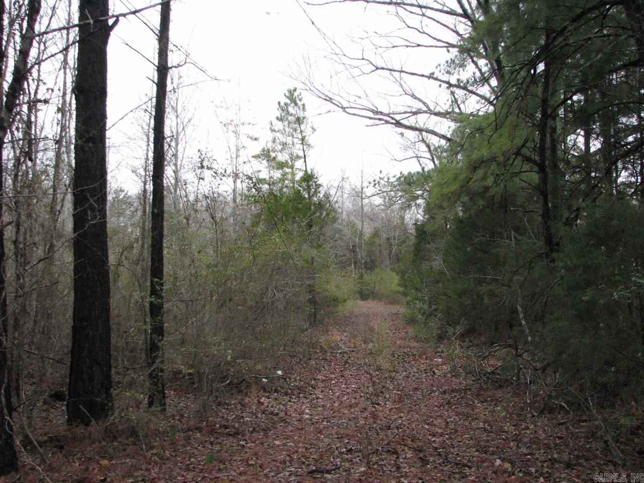 Judsonia Outlots - Land