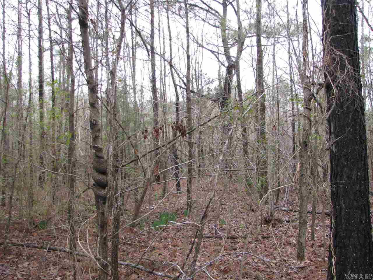 Judsonia Outlots - Land