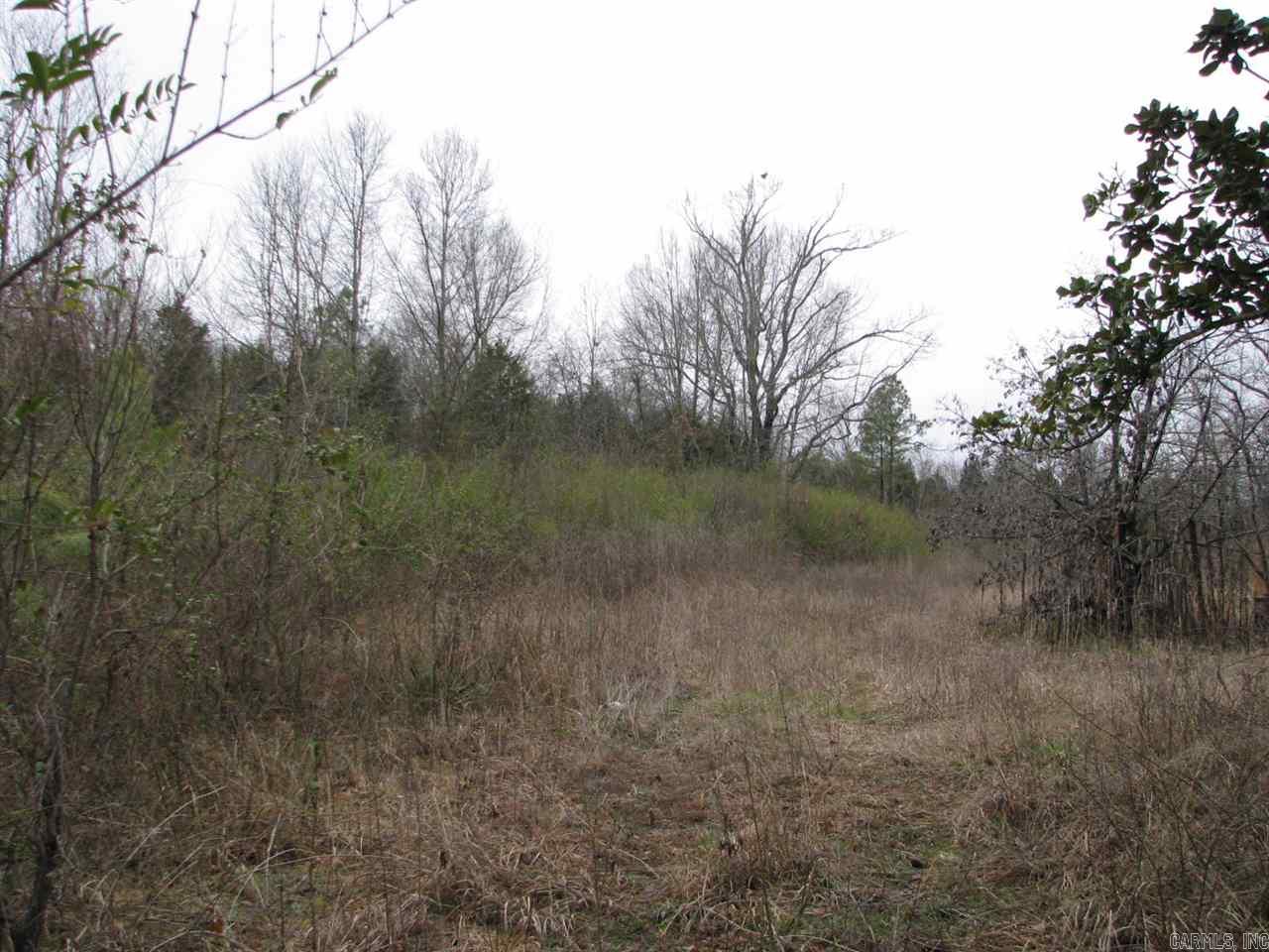 Judsonia Outlots - Land