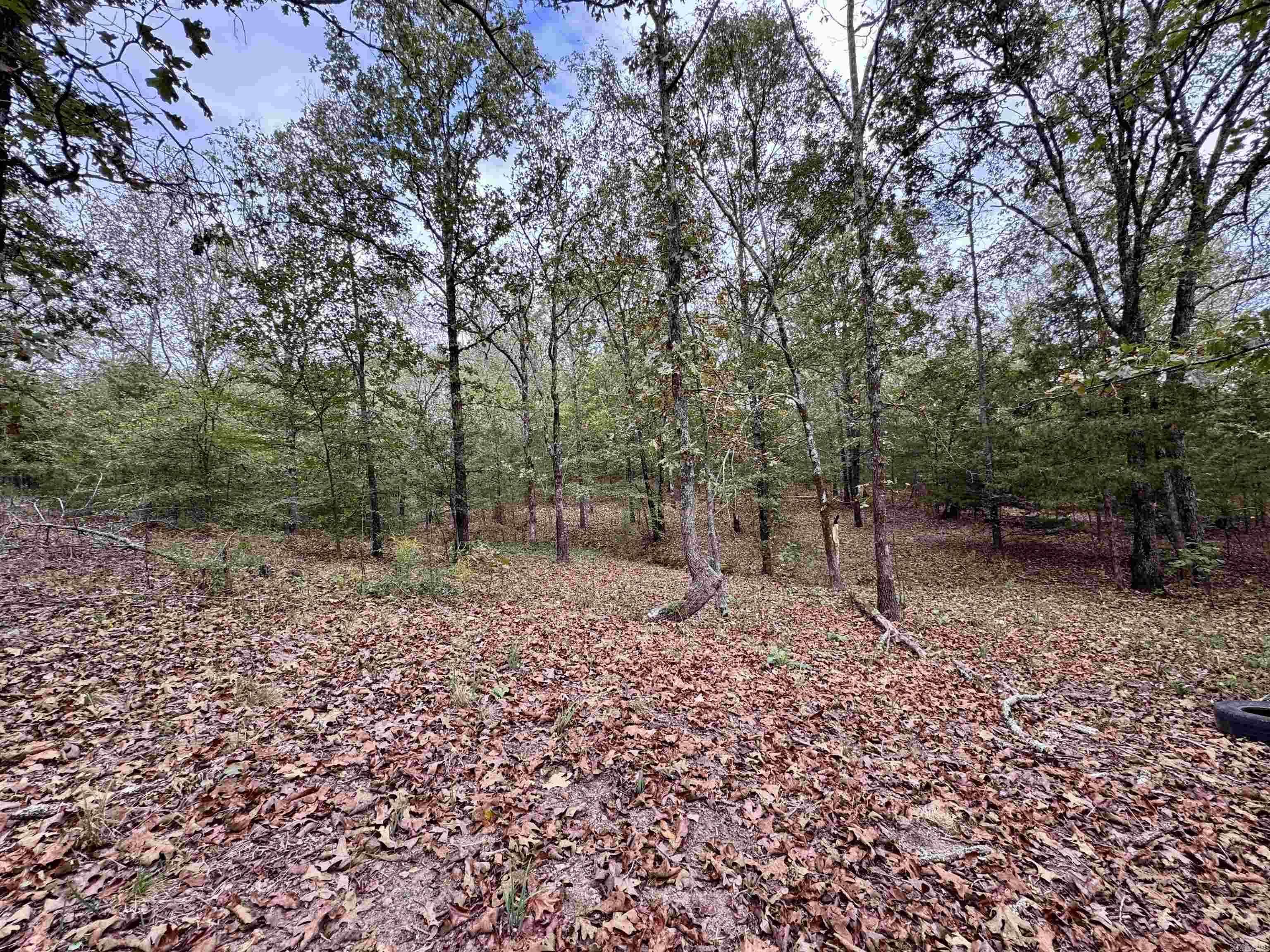 WOODED ACRES - Residential