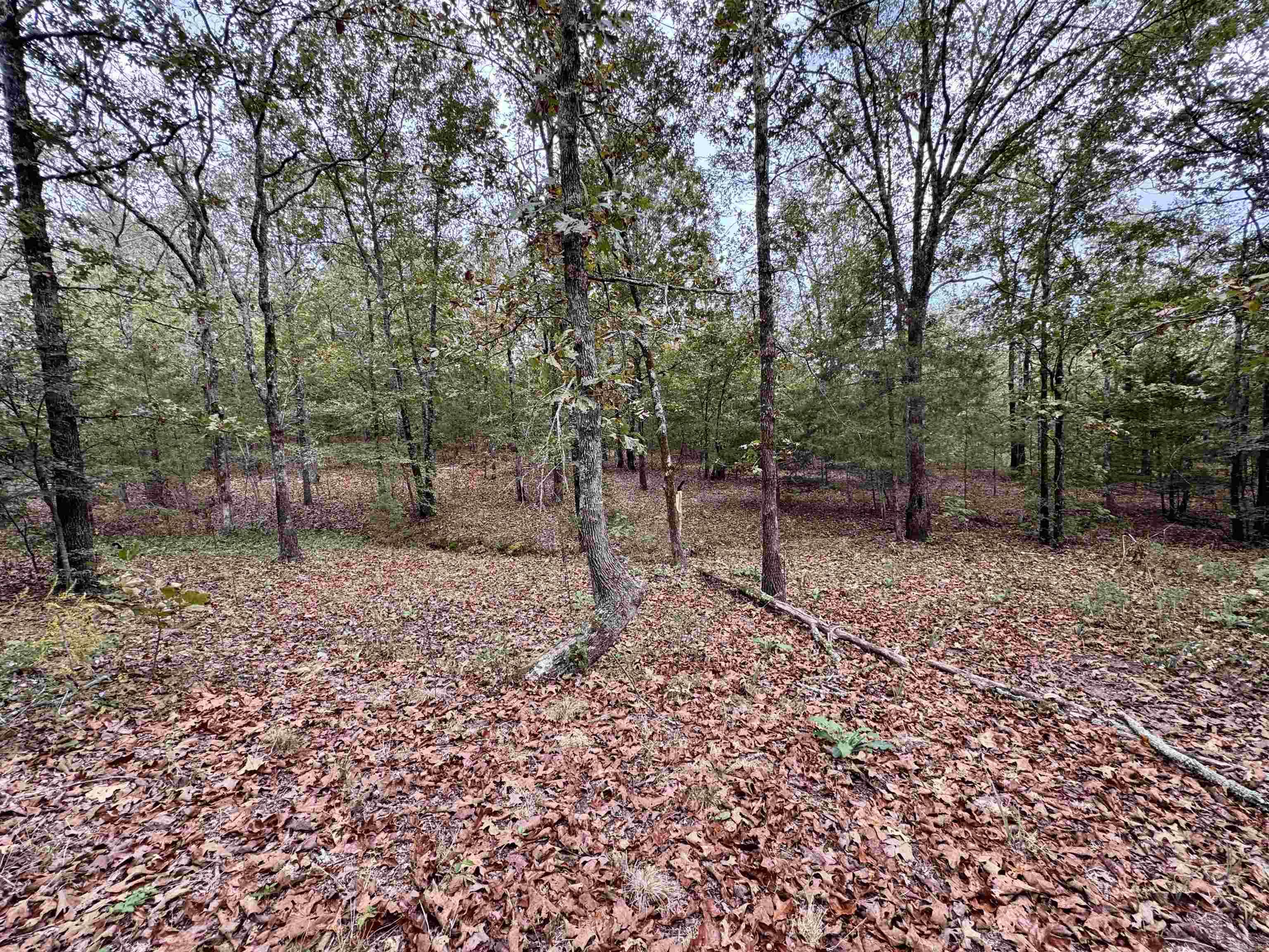WOODED ACRES - Residential