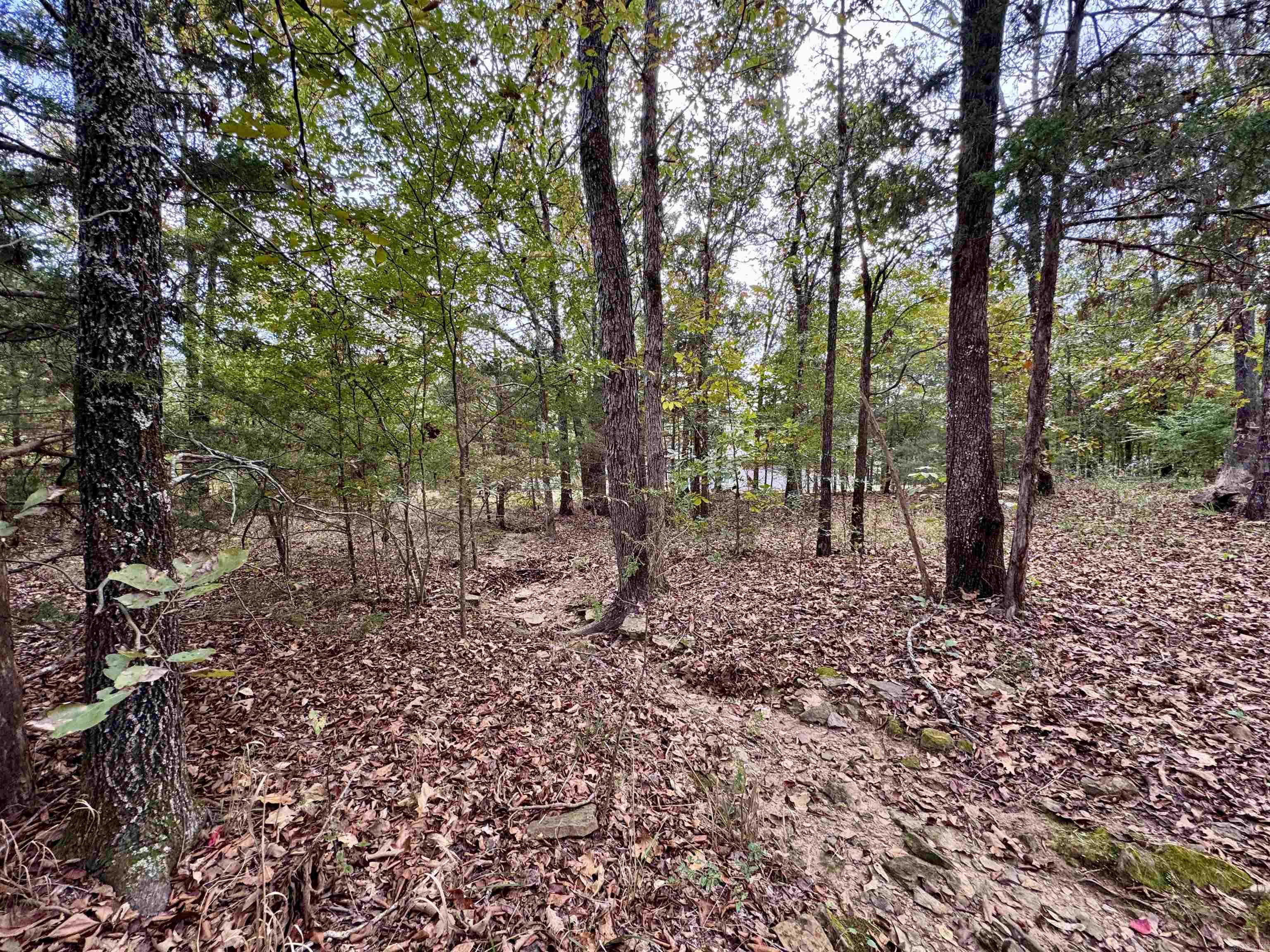 WOODED ACRES - Residential