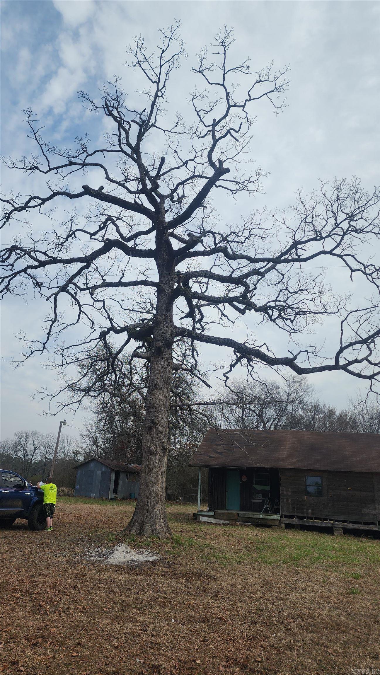 Dallas - Residential