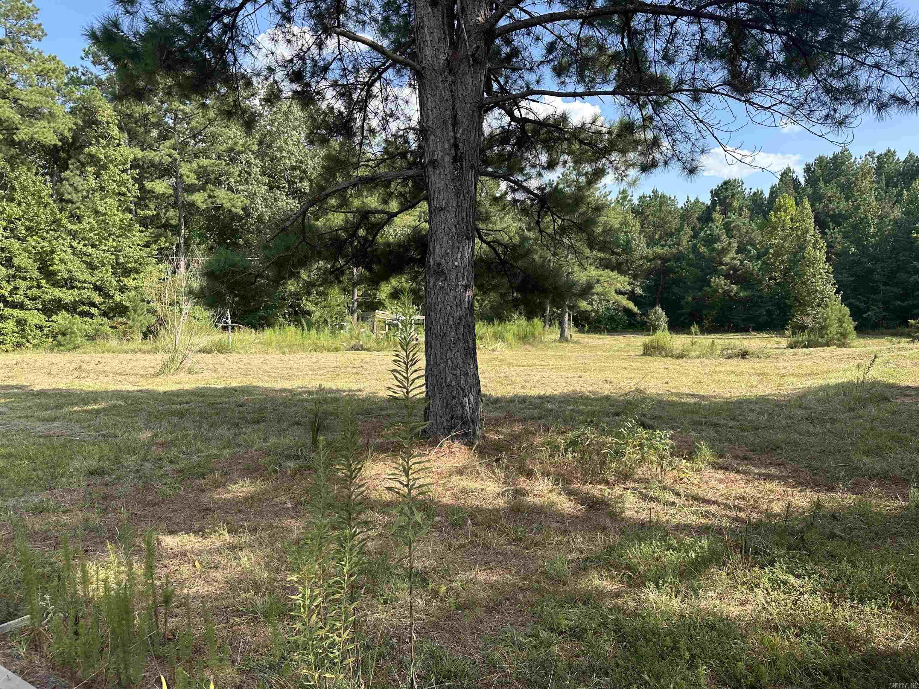 Plantation Estates - Land