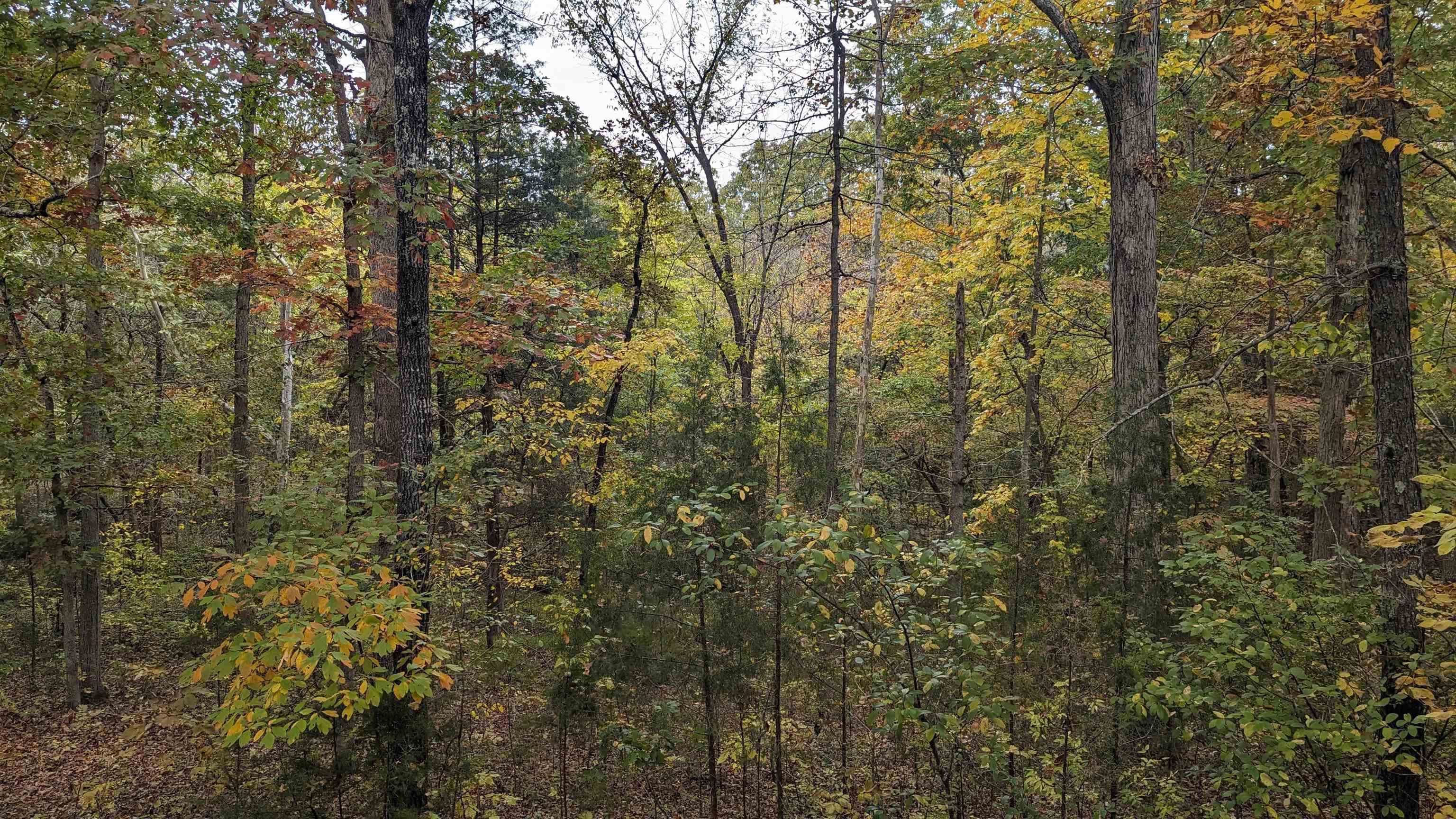 Townhouse 3rd - Residential Lease