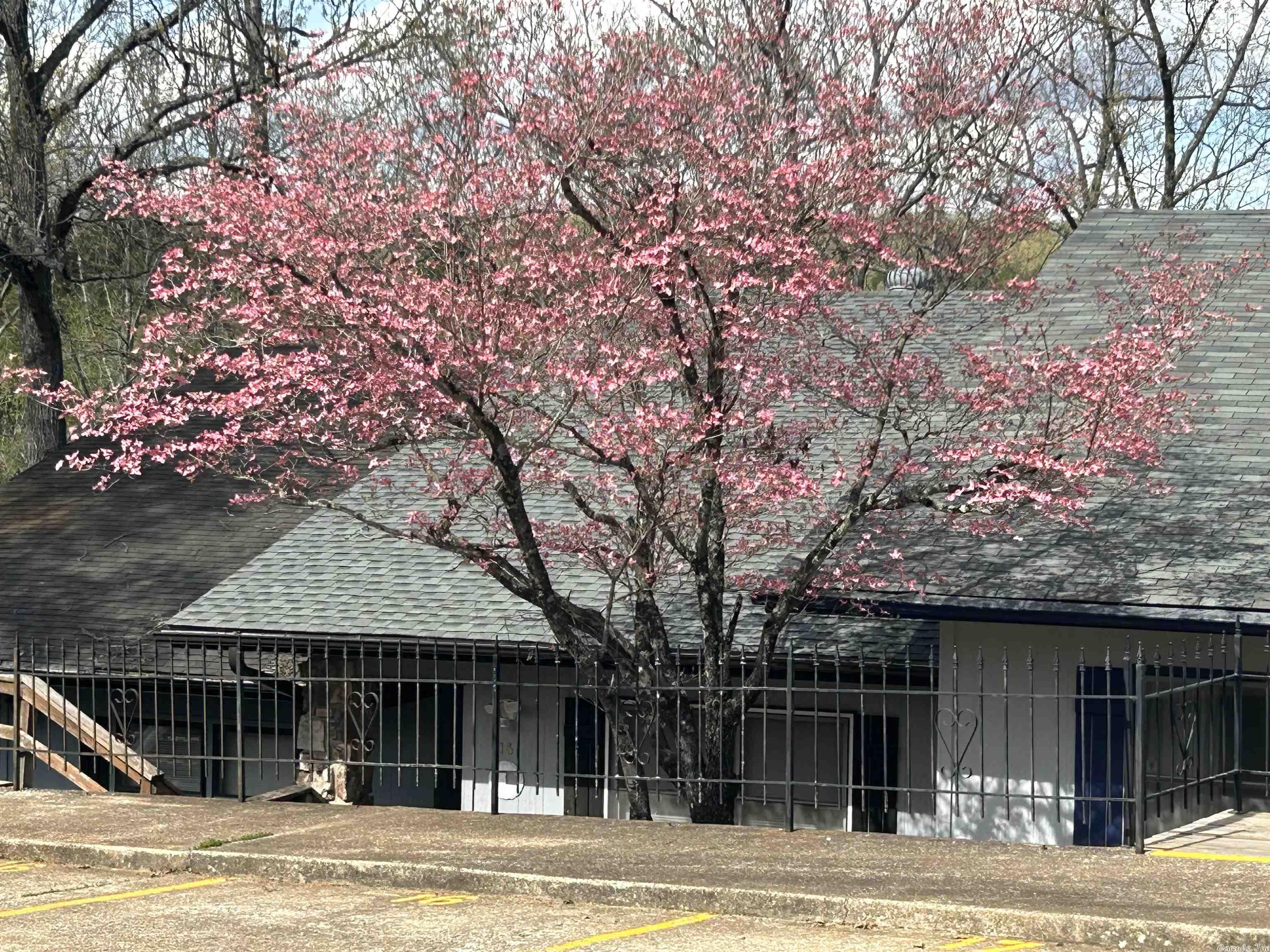 Townhouse 3rd - Residential Lease