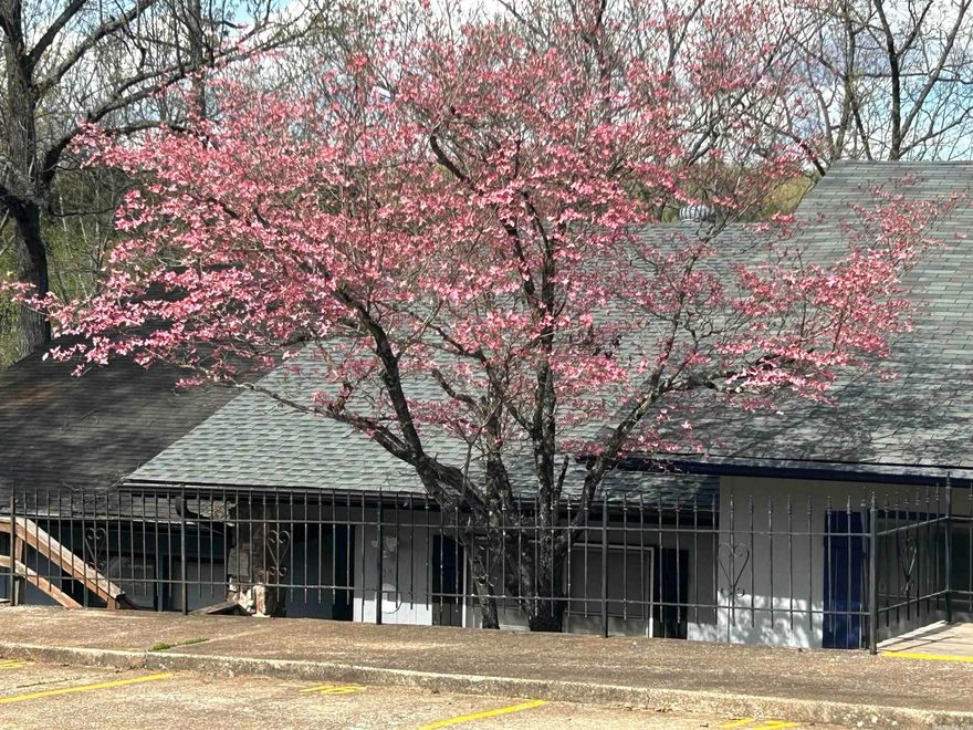 Avail Feb 1st-Two-level Townhouse in Cherokee Village! All elec, central h/a (ductwork recently cleaned), laminate flooring. Enclosed Arkansas room with a view of a wet weather creek and wooded area.  Fridge/stove/dishwasher/washer/dryer included. Near City Hall, The South Fork Spring River, and Lake Thunderbird. Tenants can have access to indoor community pool just across the street.  Just a short distance to local restaurants and shops! All applicants 18+ must complete an application.  We do a credit and criminal background check. Pest control is an additional $20/m (required). Renter's or Liability Insurance is also required. Pets Are Not Permitted