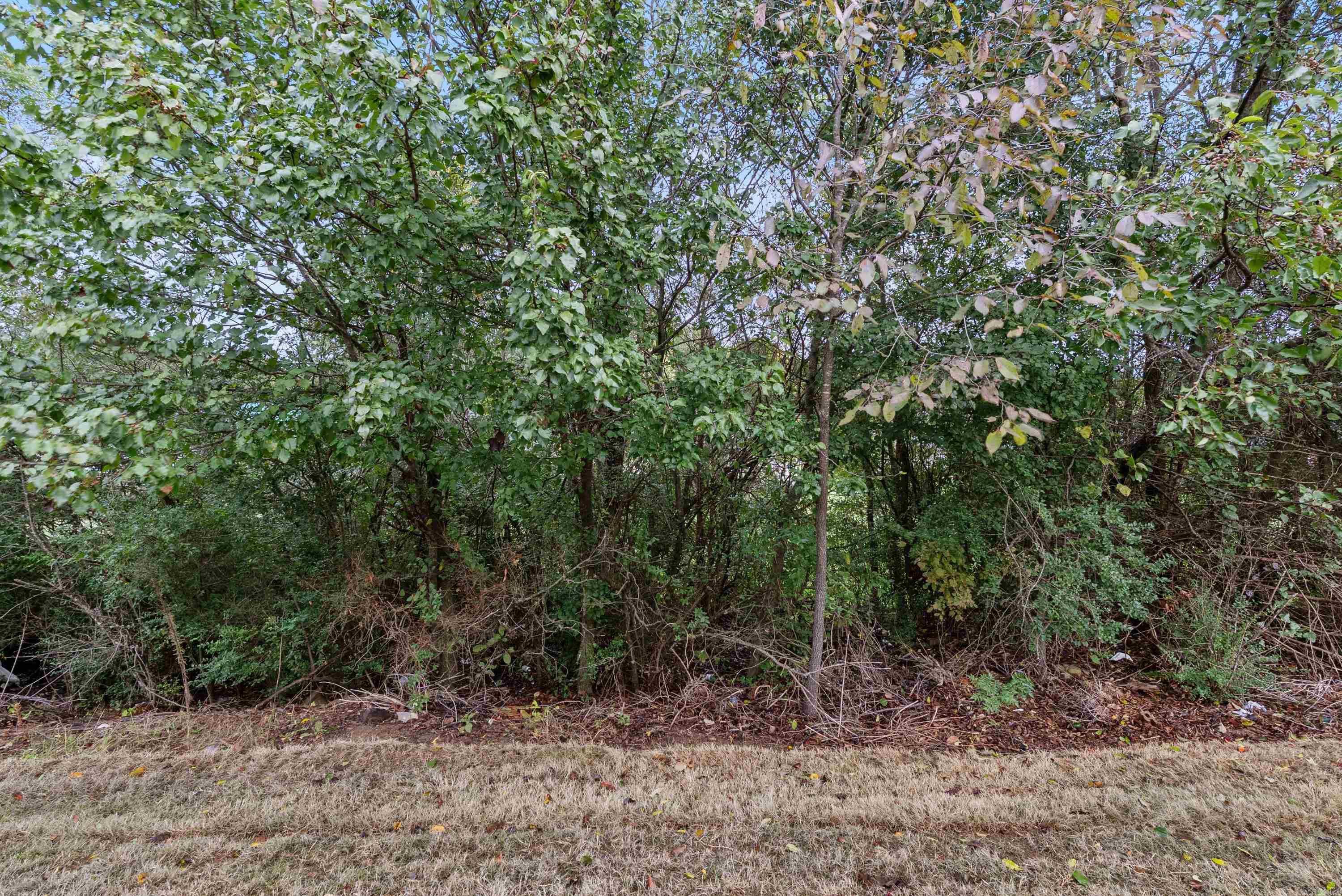 PARKWAY ESTATE - Residential