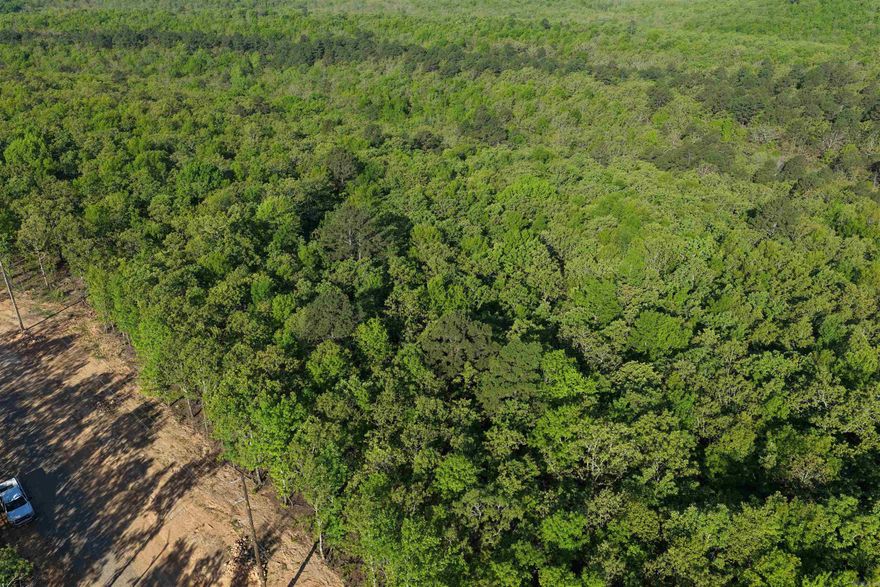 Introducing Seven Lakes Ranch Estates ~ a premier gated acreage community redefining luxury country living in the Conway area. Set against breathtaking views of Lake Conway and Pinnacle Mountain, this exclusive development features seven stocked lakes, scenic nature trails, rolling topography, and abundant wildlife. Each 3–5 acre homesite offers the privacy and space you’ve been searching for, complete with paved roads, a gated entrance, and available utilities. Perfectly positioned just 10 minutes from I-40 in Mayflower, 15 minutes from downtown Conway, and approximately 25 minutes from West Little Rock and Cabot, Seven Lakes Ranch Estates delivers both tranquility and convenience. With community-wide road paving planned for summer 2026, and a 3,000 sq. ft. minimum for this lot, you’re invited to bring your builder—or work with one of ours—to craft a custom home that fits your vision.  **Owner financing is available.**