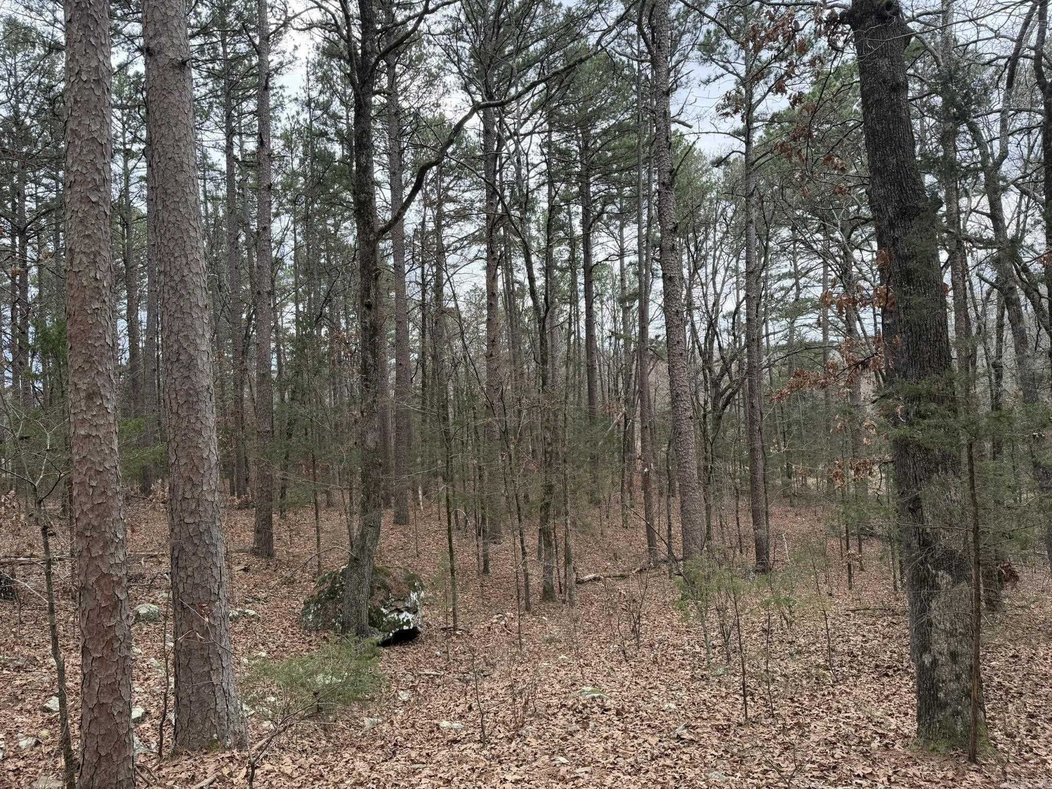 Not in Subdivision - Land