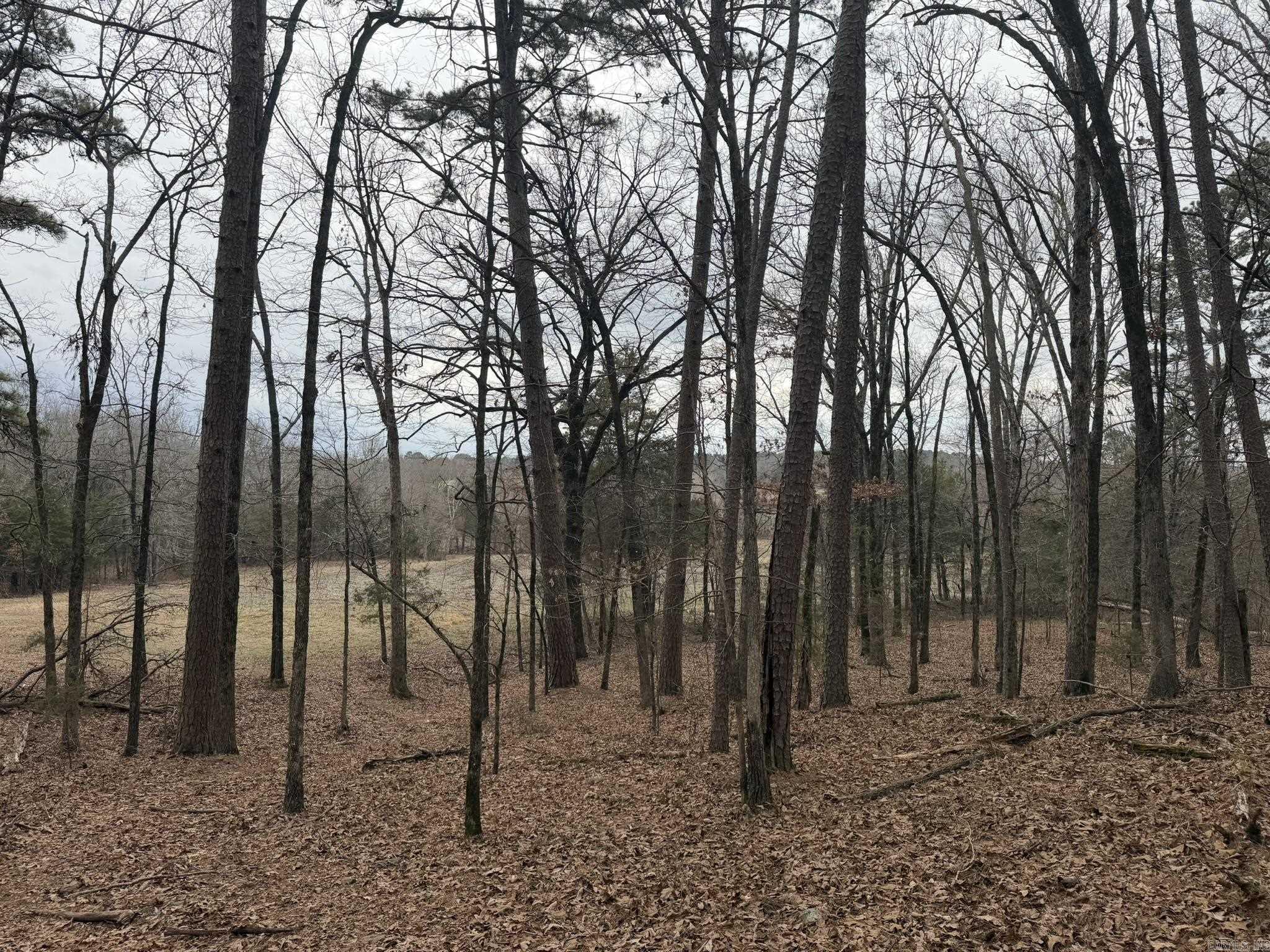 Not in Subdivision - Land