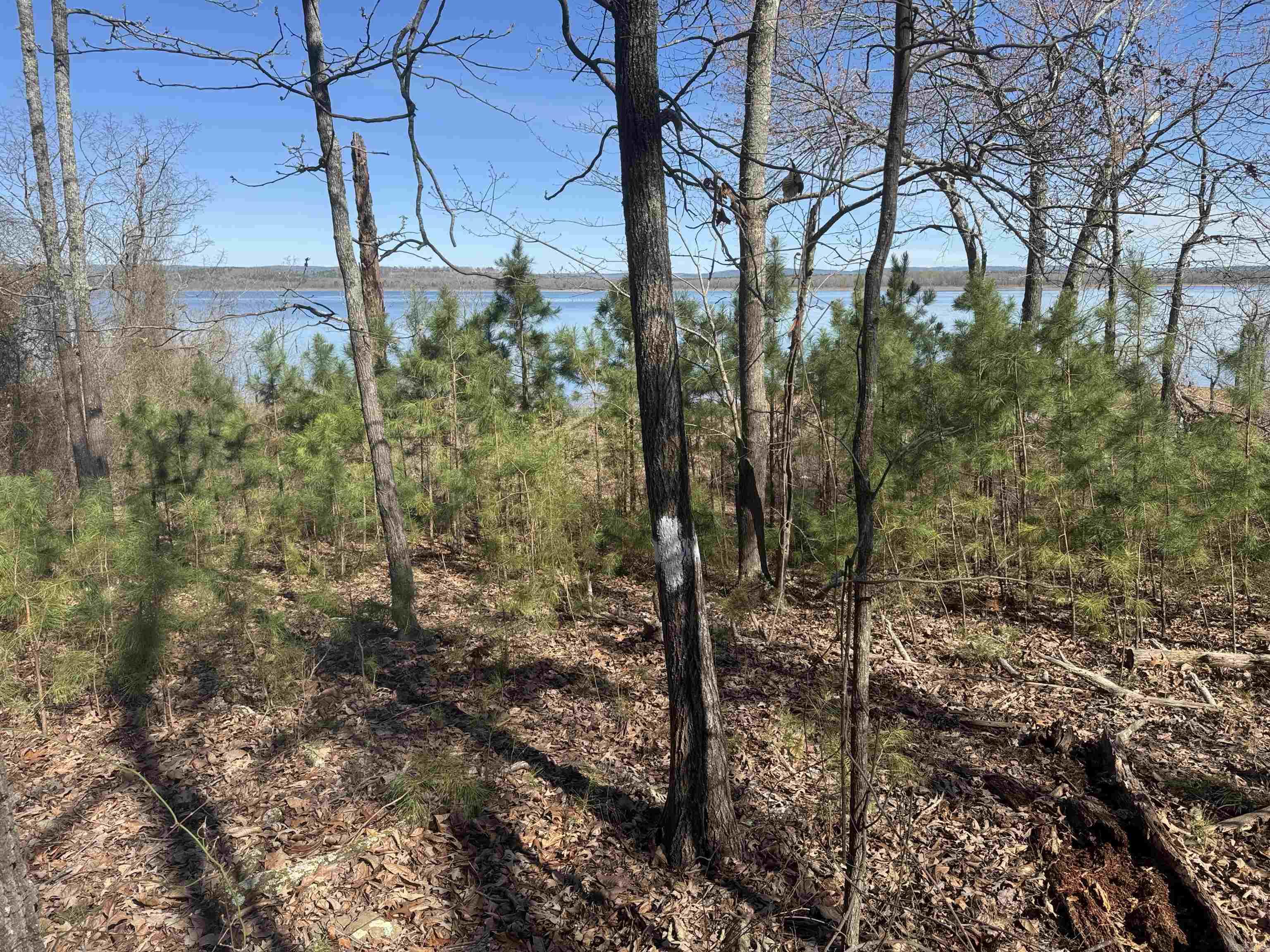 Kings Hideaway - Land