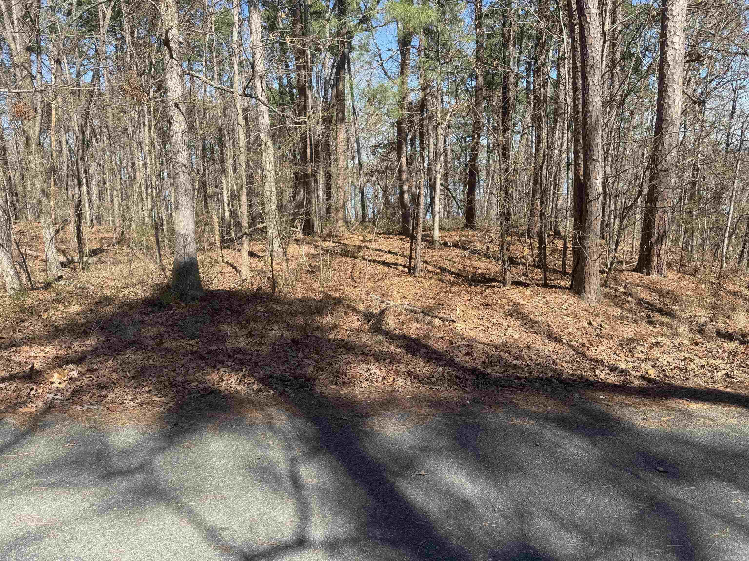 Kings Hideaway - Land