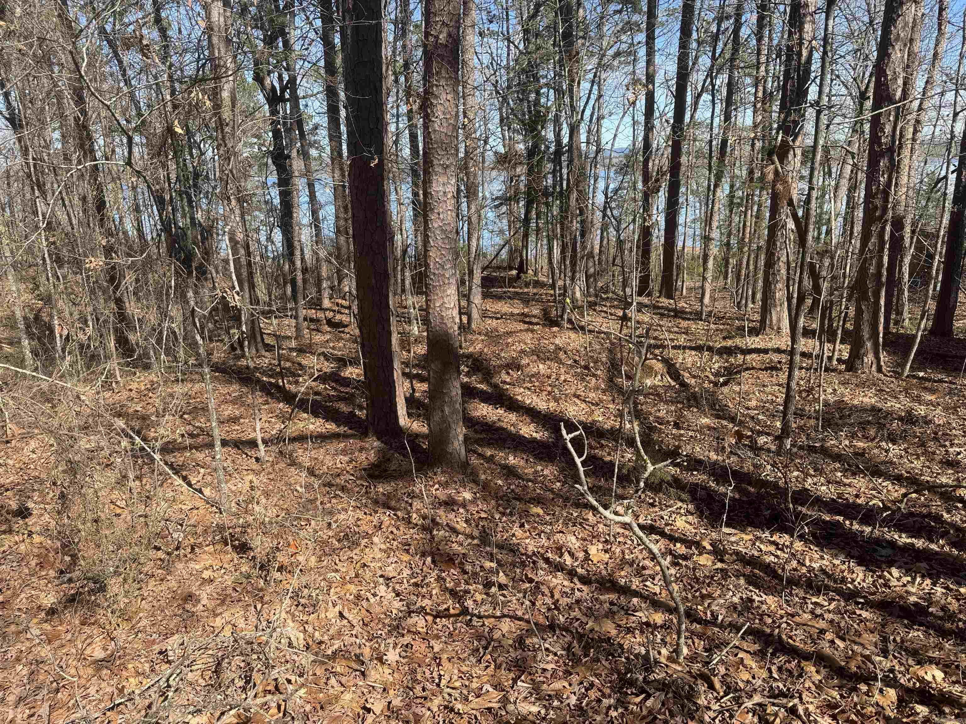 Kings Hideaway - Land