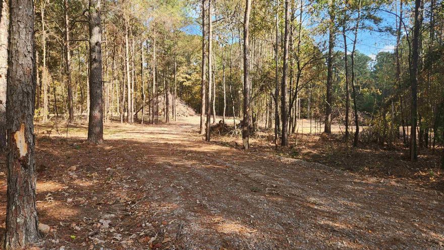 Beautiful native trees with lots of hardwood and pine surround you on this 5.0 acre tract. New survey. New well. New house pad. New driveway and culvert. No restrictions on this property and mineral rights do convey. Access to a pond. Electric is available at the road. Minutes from the Caddo River and close to Glenwood. Quiet little neighborhood on a paved road. This is a must see property!