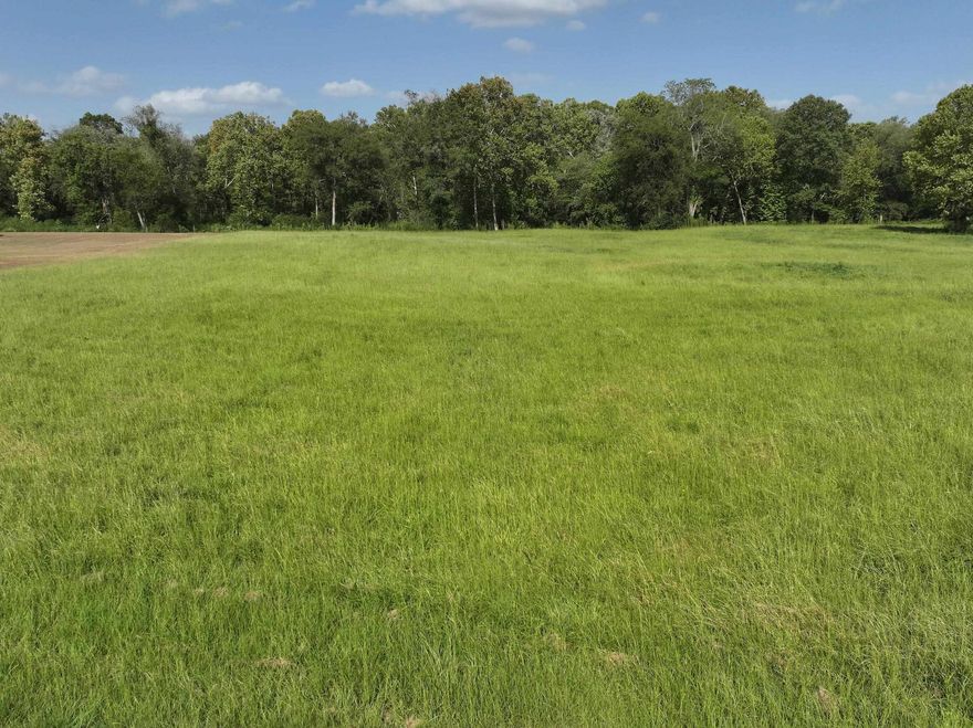 Beautiful lot on the sought-after Little Missouri River in Murfreesboro, AR!  Near the Crater of Diamonds State Park, Swaha Marina on Lake Greeson. Enjoy fishing, digging for diamonds, swimming, and much more! Perfect spot for your next vacation!