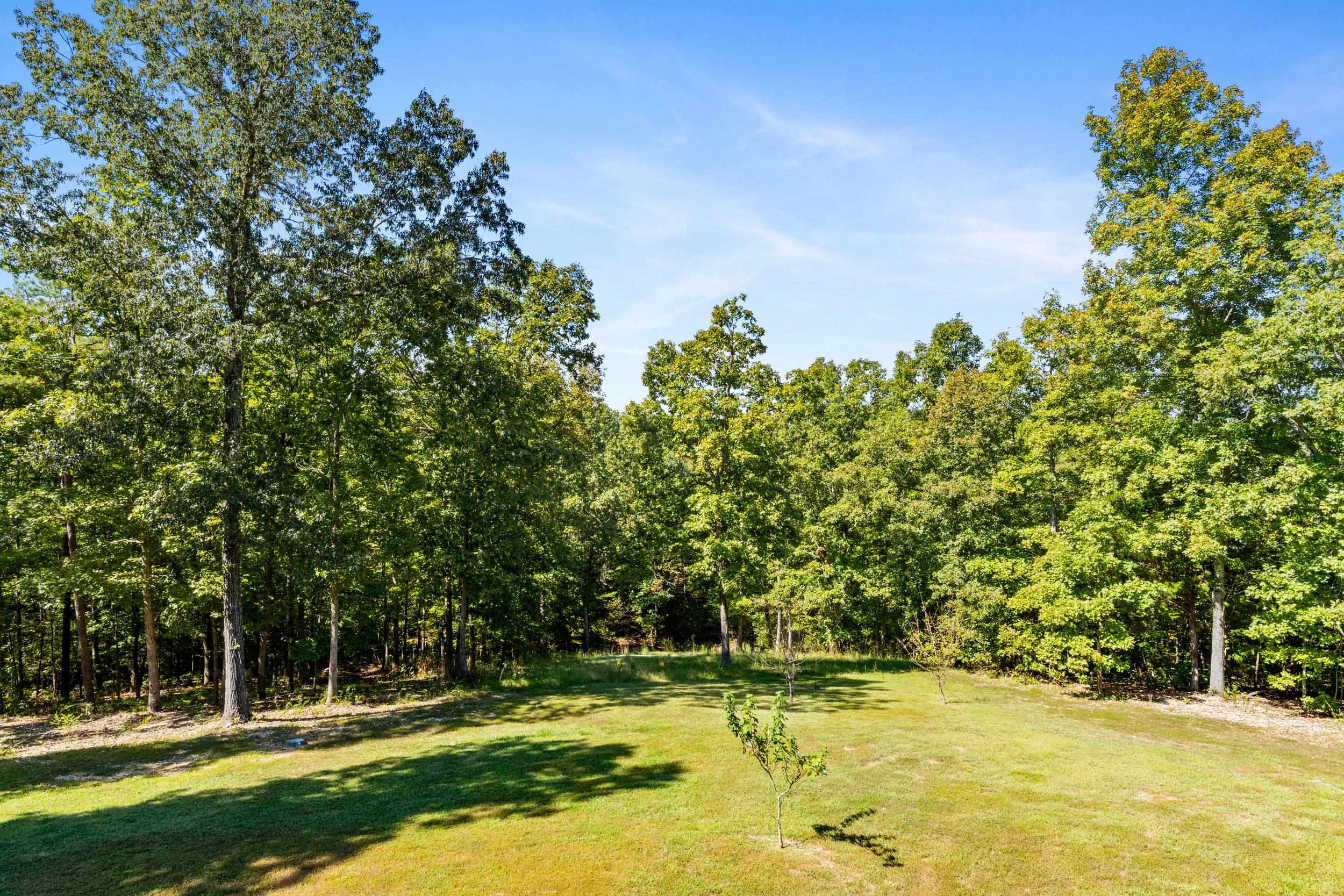 MATTHEWS MOUNTAIN ESTATE - Residential