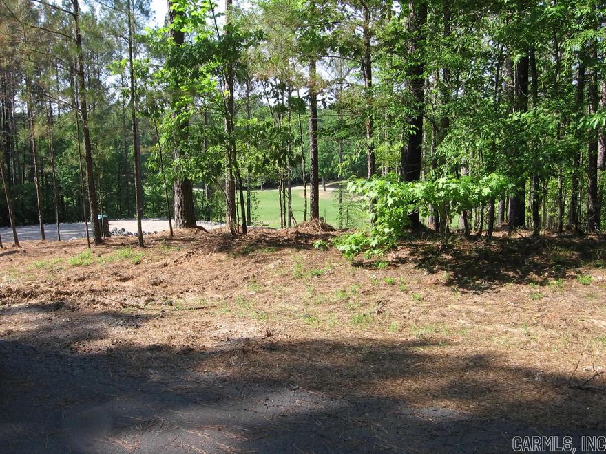 TERRIFIC GOLF LOT ON 14TH HOLE OF THE PREMIER GRANADA COURSE, ONE OF THE STATE'S TOP 10. BUILD YOUR DREAM HOME IN THIS PRESTIGEOUS SUBDIVISION. CONTACT LISTING AGENT FOR MORE INFORMATION.