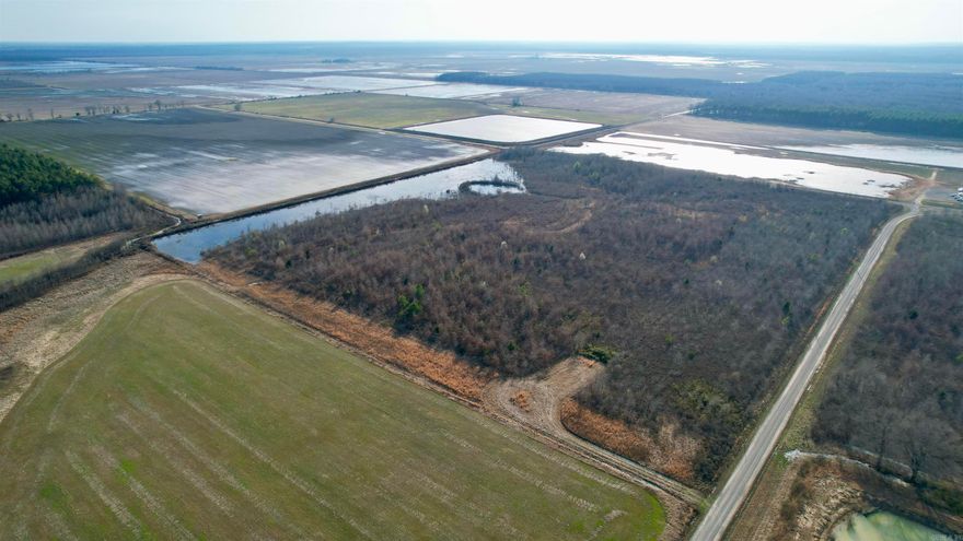 This 45.5 acres +/- located between Bald Knob Refuge & Hurricane Lake WMA offers deer & duck hunting for less than $200,000. This tract had timber planted on it in 2007. The expired CRP with a 18 year growing period is free from any encumberances and is used as a bedroom for deer as well as a resting area for ducks bouncing between the two very populated wildlife management areas, Bald Knob Refuge & Hurricane Lake WMA. As shown in the pictures, the southern portion of the farm is impounded and has a water control structure to manage and manipulate water depth. Power runs along the north and west sides of the property, and there's a nice graveled drive on the NW corner that leads to a sizeable parking area for easy access.