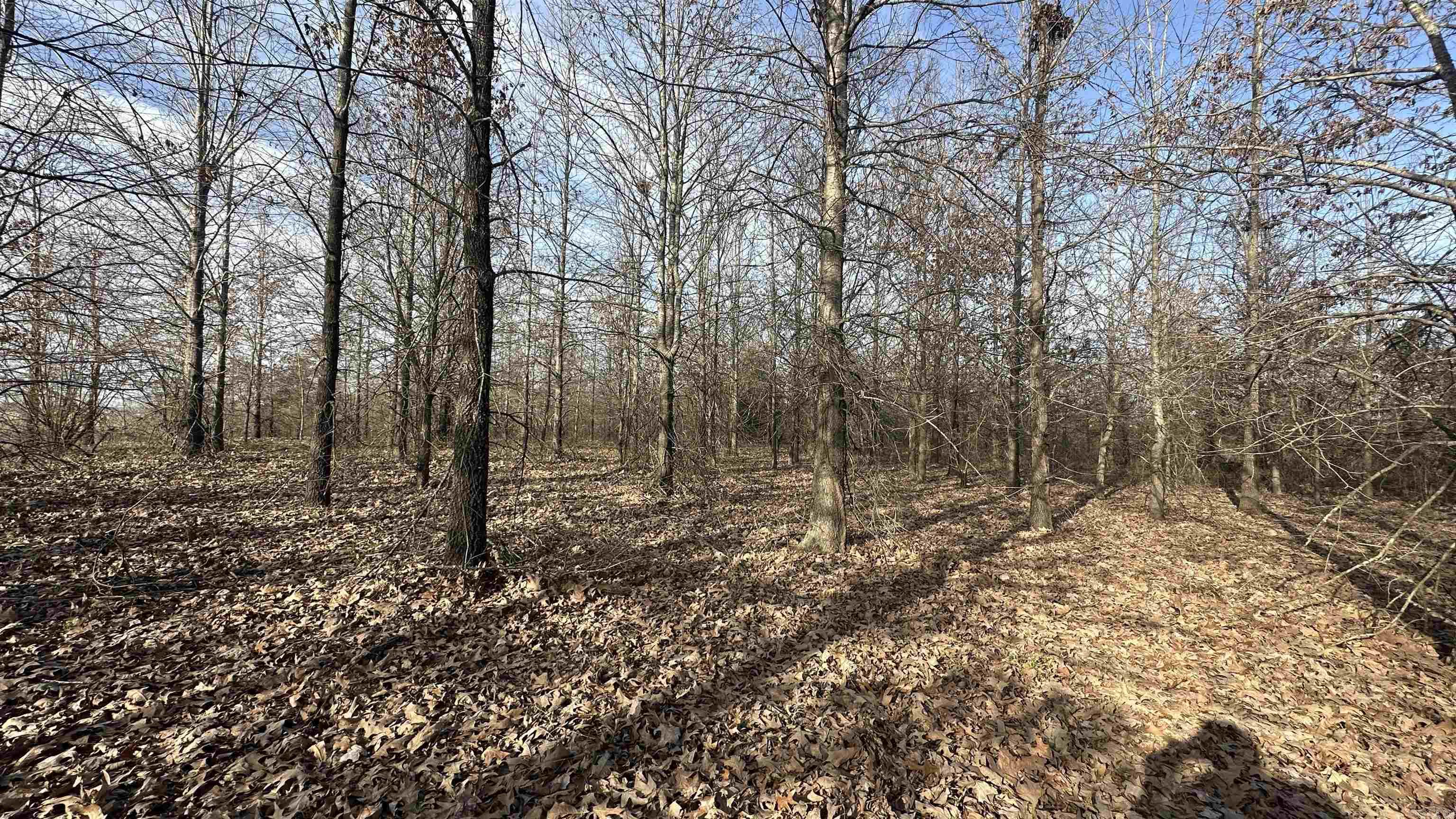 Metes & Bounds - Land