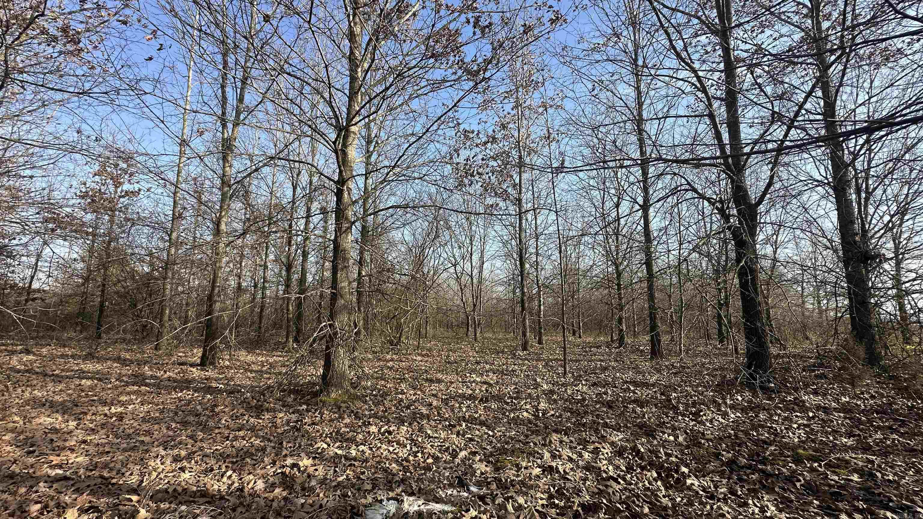 Metes & Bounds - Land