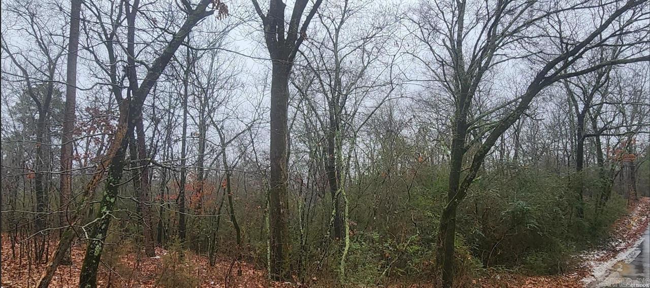 Build your dream home on this one! Right at 2 acres. Just big enough to enjoy, but not too much to maintain. Close to Magic Springs and all of the fun, food, and activities that Hot Springs has to offer, while still maintaining that country feel. Don't hesitate with this one! NO MOBILE HOMES ALLOWED