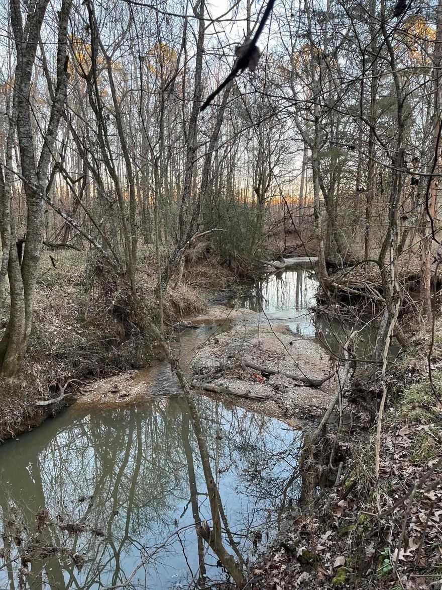 Great hunting spot or home site. Paved road frontage. All utilities available. Beautiful year round creek.