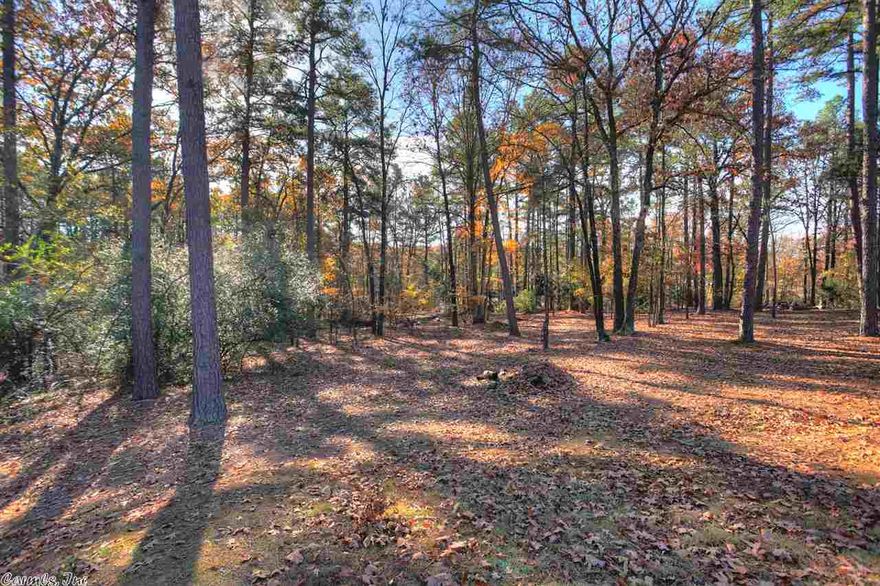 acreage adjacent to 12622 Timber Creek