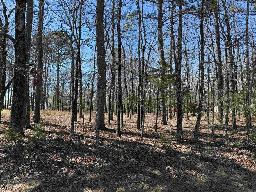 What a great lot!! Build a custom home in this premier neighborhood. This is just minutes away from the Indian Hills Golf Course and Little Red Restaurant.  Drive your golf cart!!  Lot is relatively level and wooded, with water extension, sewer, electrical lines, & fiber internet available.  So your building project can easily get underway.  Enjoy Resort Living at its finest. Resort membership for pools, golf, bowling alley, minigolf and more!  Call for info on the dues/fees.