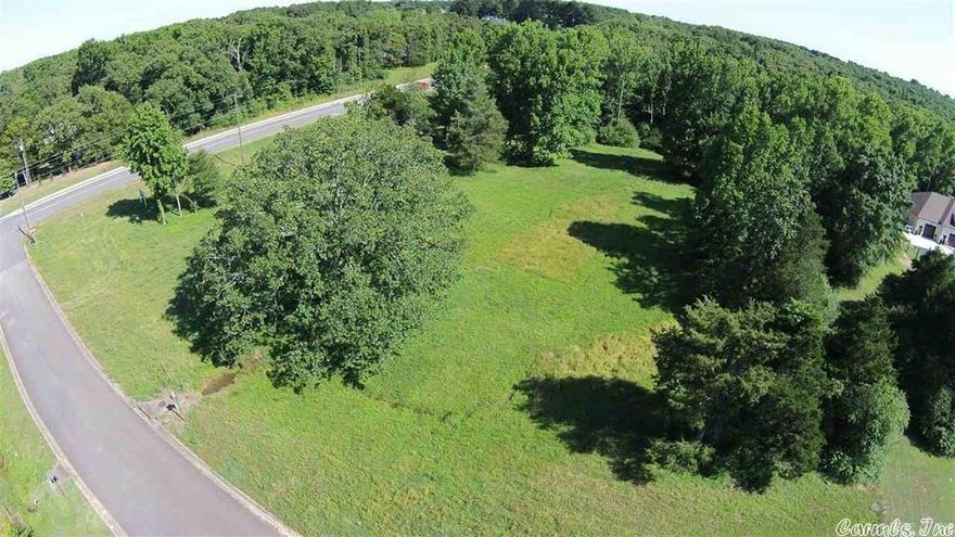 Fantastic 3.8 acre home site now available for purchase in one of Searcy's most desired subdivisions. Welcome Home to Club Creek Estates. Some trees have already been removed, but plenty were left to maintain some privacy. With easy access to Little Rock and a short golf cart ride to the Searcy Country Club, this lot is located at the corner of the the Hwy 13 Bypass and Club Creek Drive! Come see it today and plan your dream home!