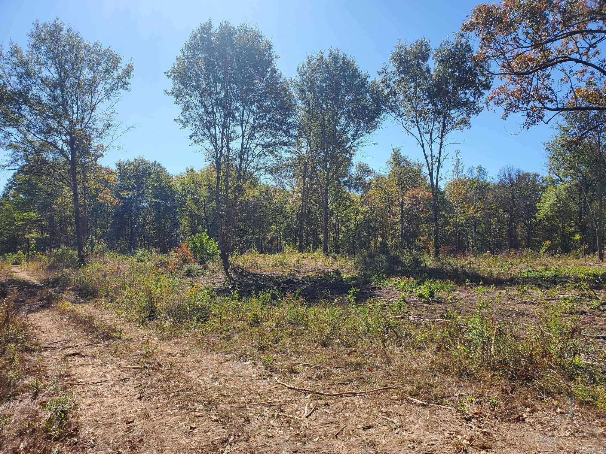 Nice wooded property with creek and highway frontage. City Utilities available.