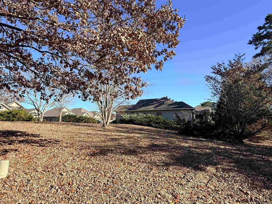 Rare opportunity to build in the Divino Courts area near Lake Balboa of Hot Springs Village. This oversized parcel offers exceptional flexibility for a custom home with ample room for a 3-car garage, pool or expansive outdoor living spaces. Ideally located near the Balboa Gate, this homesite provides quick access to Lake Balboa Marina, multiple championship golf courses, and miles of scenic trails. Enjoy the convenience of being just minutes from Hot Springs shopping, dining, medical facilities, and all the premier amenities Hot Springs Village is known for, including 11 lakes, 9 golf courses, fitness centers, beaches, and security. Whether you’re planning a primary residence, second home, or future investment, this rare parcel offers the space, location, and lifestyle that discerning buyers seek. Build now or hold for the future—opportunities like this are increasingly hard to find. See agent remarks.