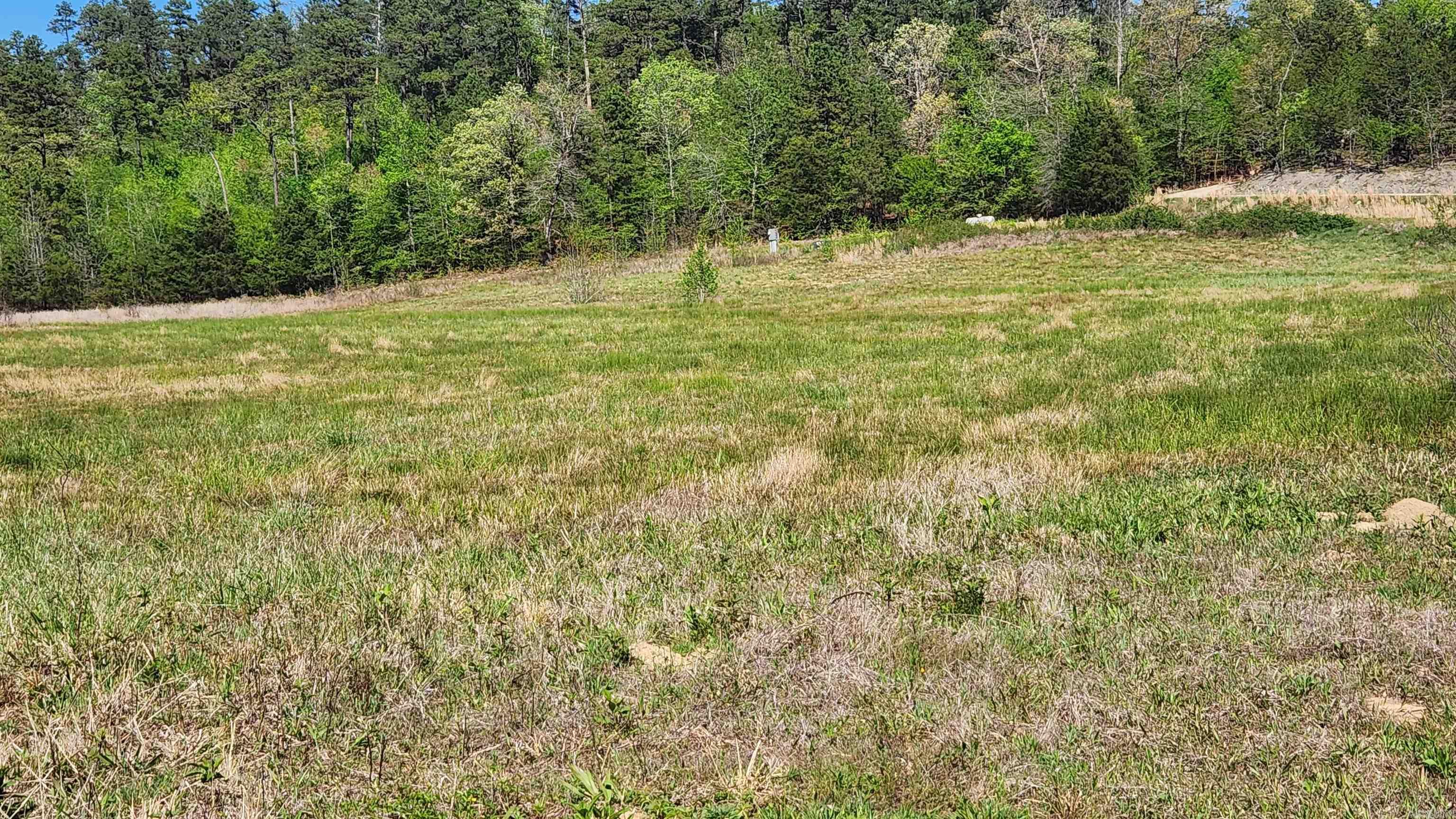 REVAS RETREAT - Land