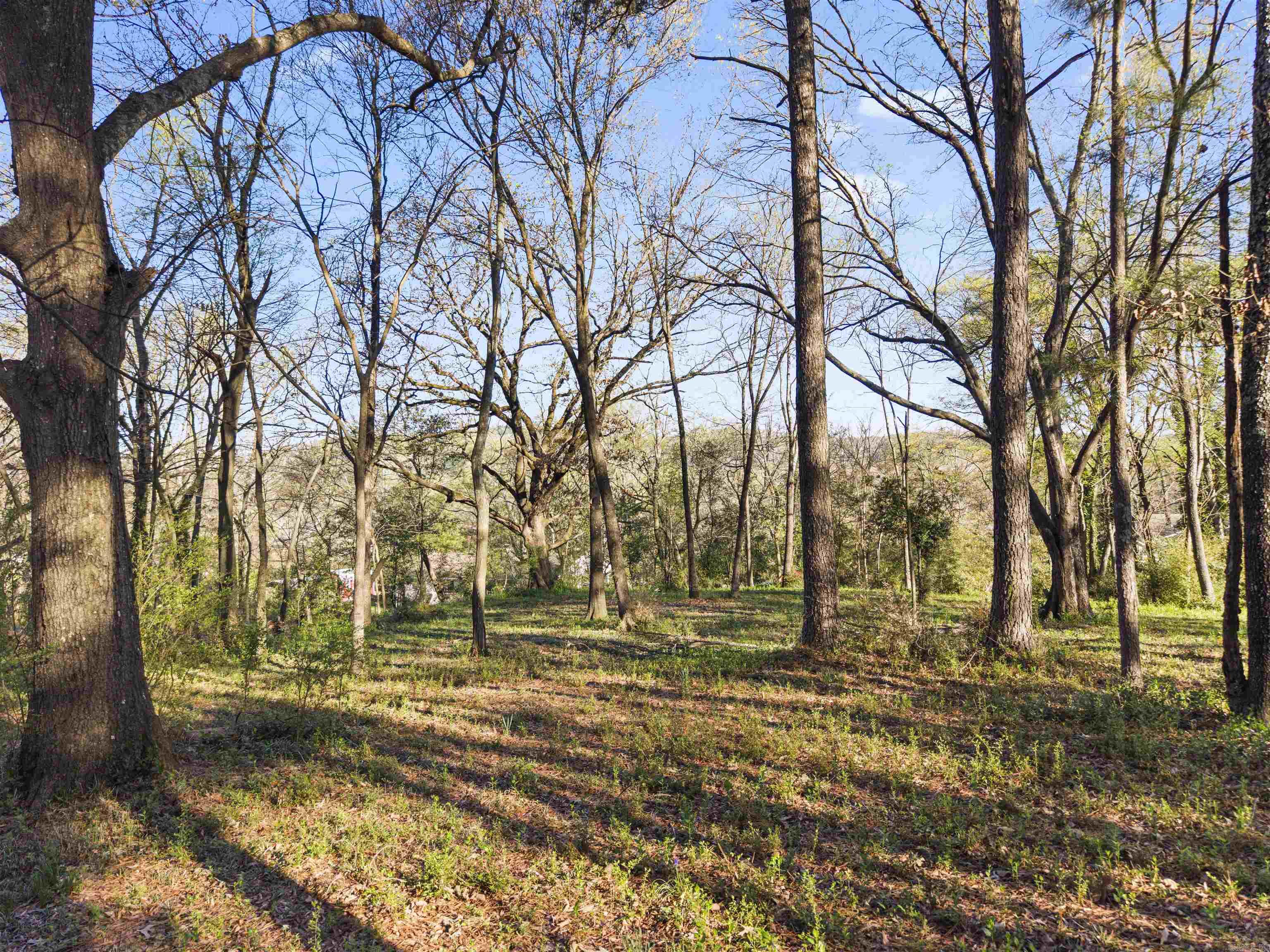 8-3S-19W Unplatted Hot S - Land