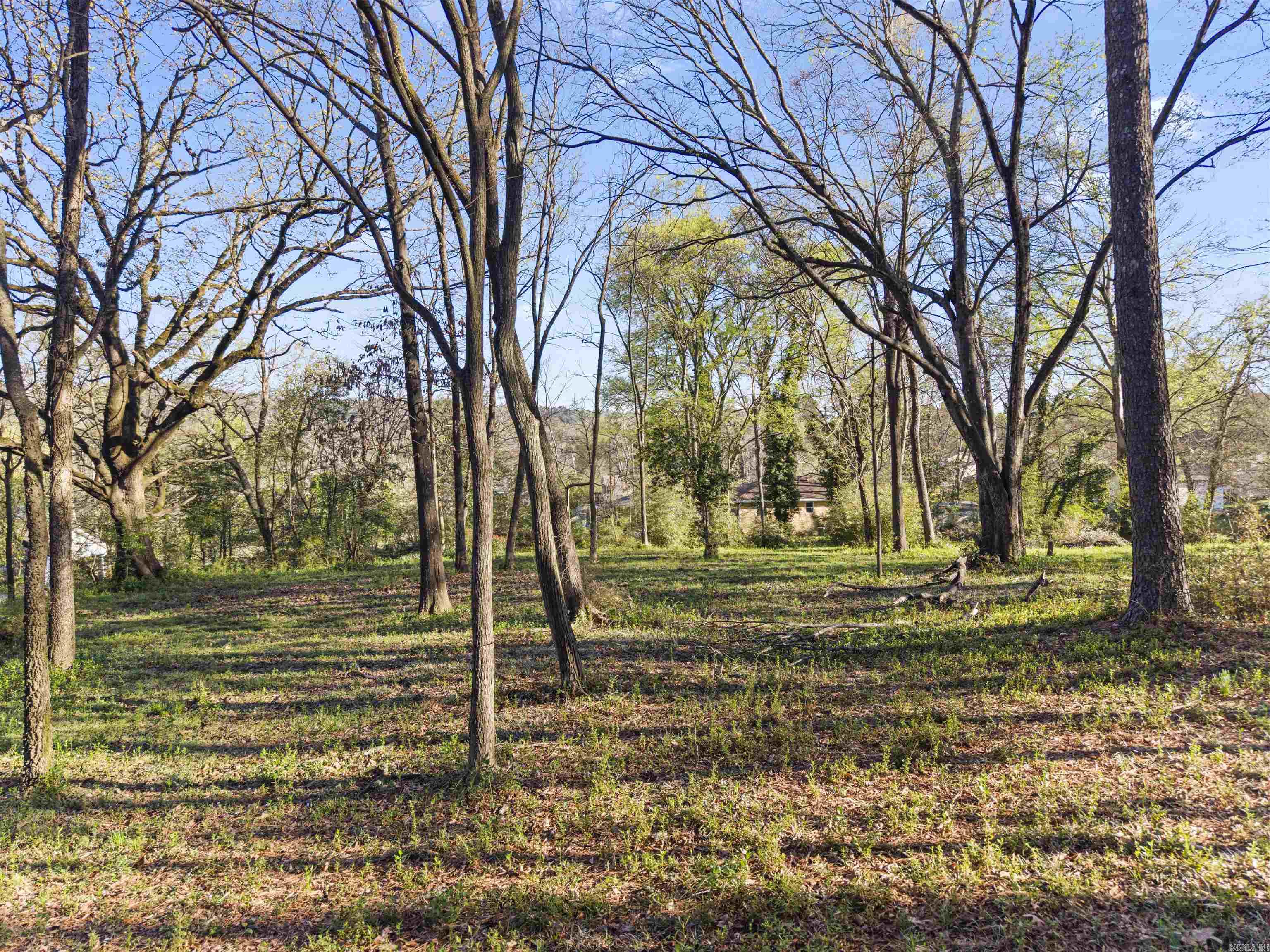 8-3S-19W Unplatted Hot S - Land